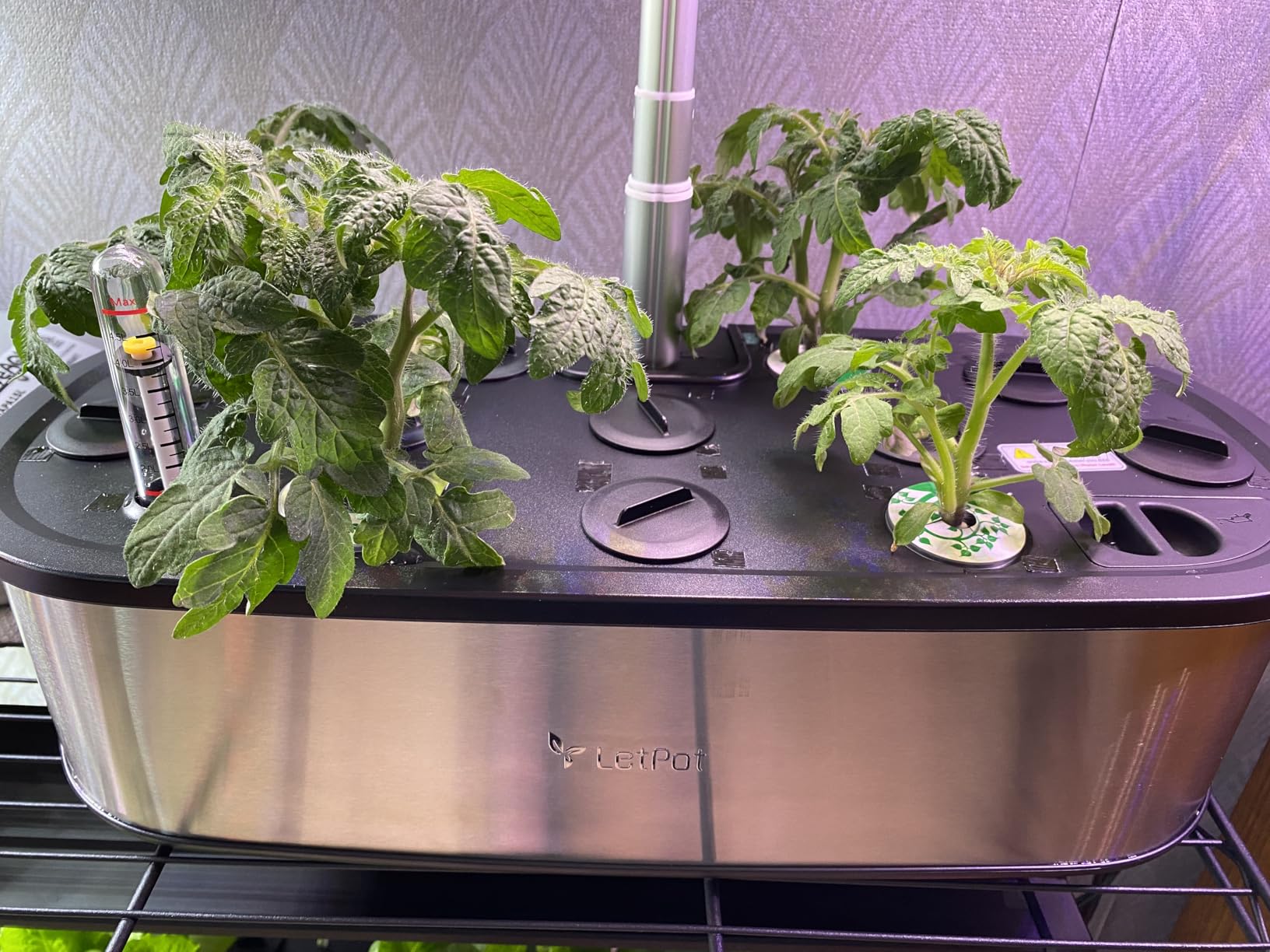LetPot LPH-SE Hydroponics Growing System, 12 Pods Smart Herb Garden Kit Indoor, Indoor Garden, APP & WiFi Controlled, with 24W Growing LED, 5.5L Water Tank, Pump System, Automatic Timer customer photo 2