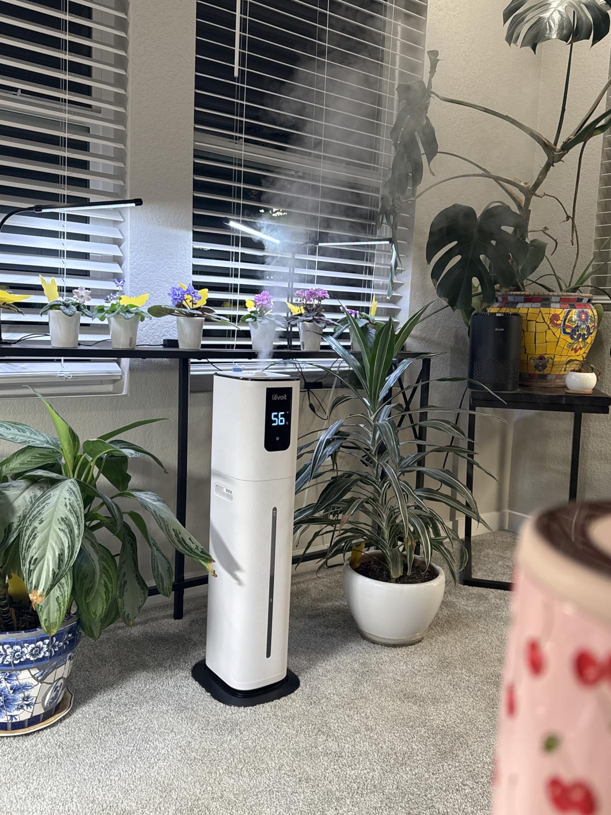 LEVOIT OasisMist 1000S (10L) Smart Humidifier for Home Large Room Bedroom, Last 100 Hours Suitable for Indoor Plant, Cover up to 600ft², Easy Top Fill, Remoter & Voice Control, Auto Mode, Quiet, White customer photo 2