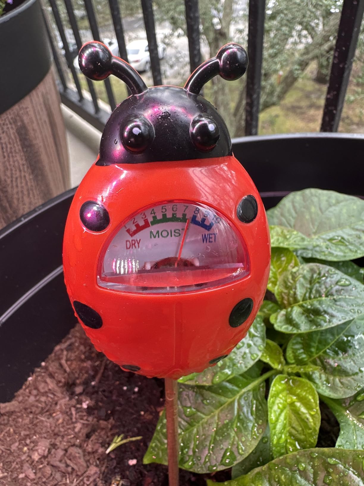 UNIWA Soil Moisture Meter, Plant Moisture Meter, Soil Hygrometer Sensor for Gardening, Farming, Indoor, and Outdoor Plants, Plant Water Monitor Gardening Gifts, No Batteries Required, 2-Pack customer photo 1