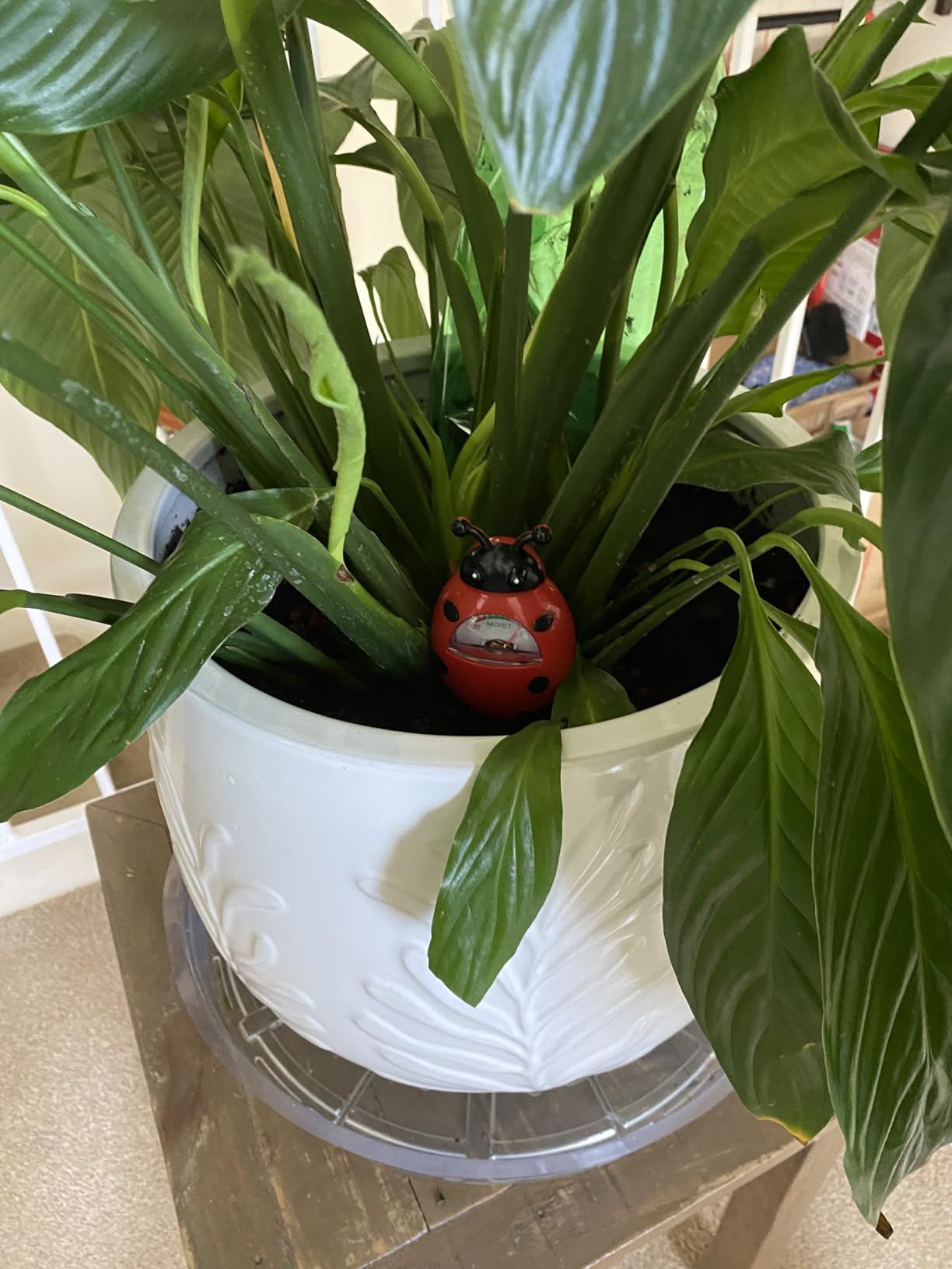 UNIWA Soil Moisture Meter, Plant Moisture Meter, Soil Hygrometer Sensor for Gardening, Farming, Indoor, and Outdoor Plants, Plant Water Monitor Gardening Gifts, No Batteries Required, 2-Pack customer photo 2