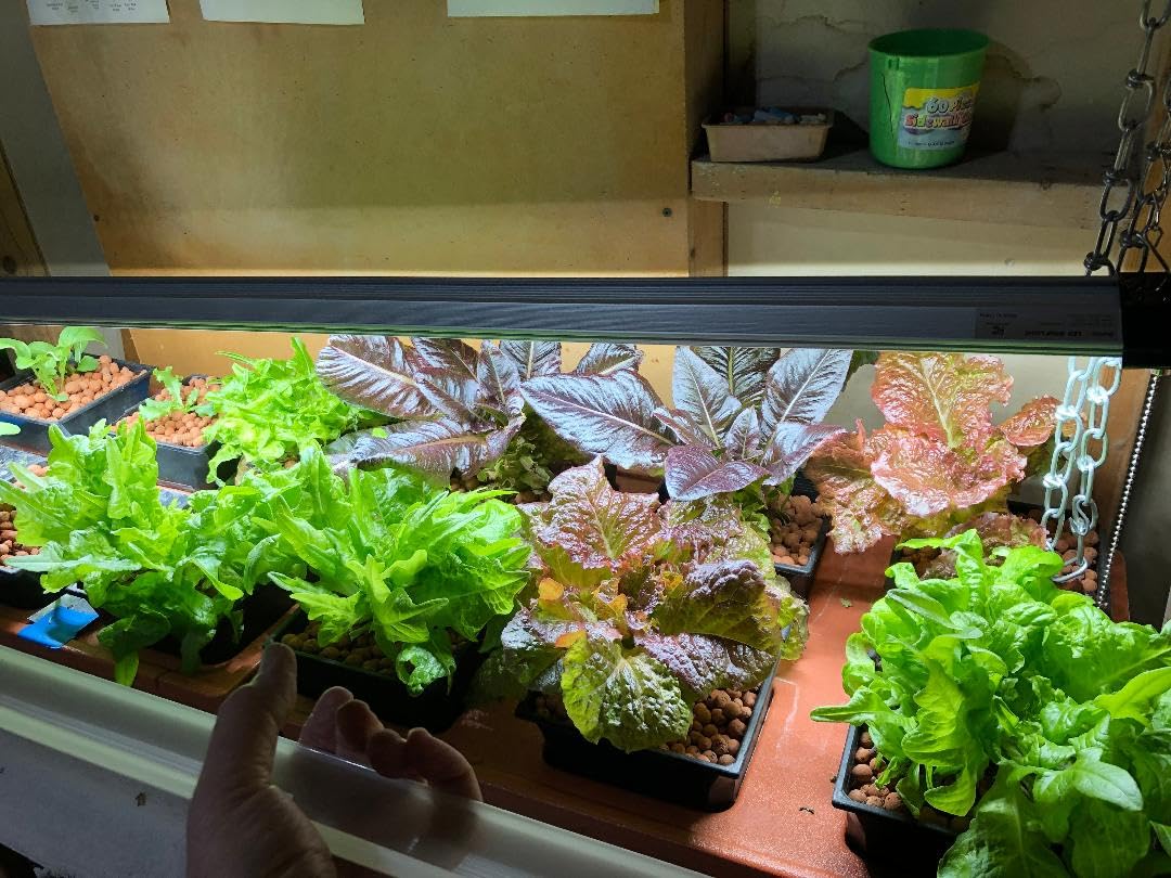 Barrina BS84 LED Shop Light for Garage, 10000LM, 84W, 4FT, 5000K Linkable Light Fixture for Workshop, Basement, Hanging or Flush Mount, Heat Dissipation with Pull Chain Switch, ETL,1 Pack customer photo 1