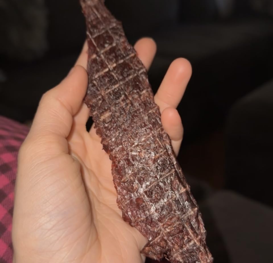 Magic Mill Pro Food Dehydrator Machine | Powerful 600W Rear Fan Even-Drying System | 7 Full-Size Stainless Steel Trays | 95°-176° Temperature Control, 48H Timer, Keep Warm + Auto Shutoff | ETL Listed customer photo 1