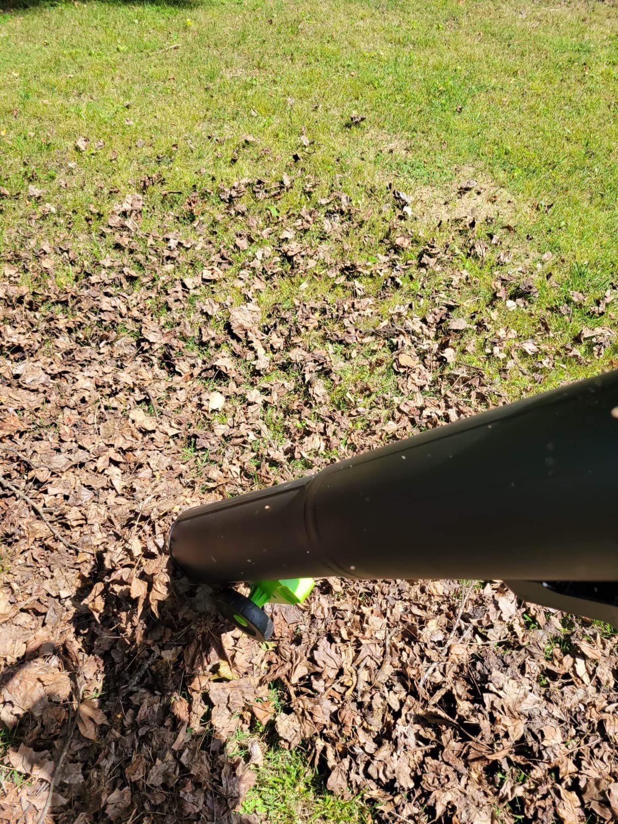 Greenworks 40V (230 MPH / 505 CFM) Cordless Brushless Leaf Blower/Vacuum with Bag, High Power, Lightweight & Quiet for Yard Debris Cleanup, Includes 5.0Ah Battery & Charger customer photo 1