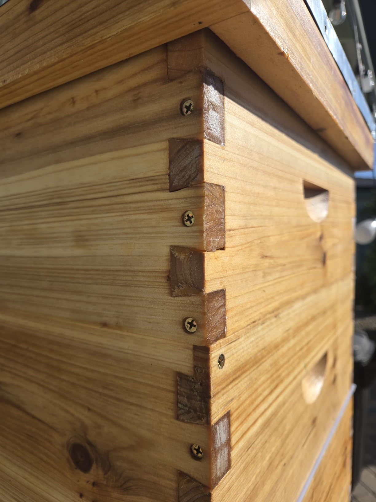 MayBee 10-Frame Langstroth Beehive Dipped in 100% Beeswax, Complete Bee Hives and Supplies Starter Kit Includes 2 Deep Hive Bee Box and 2 Bee Hive Super with Beehive Frames and Foundation customer photo 1