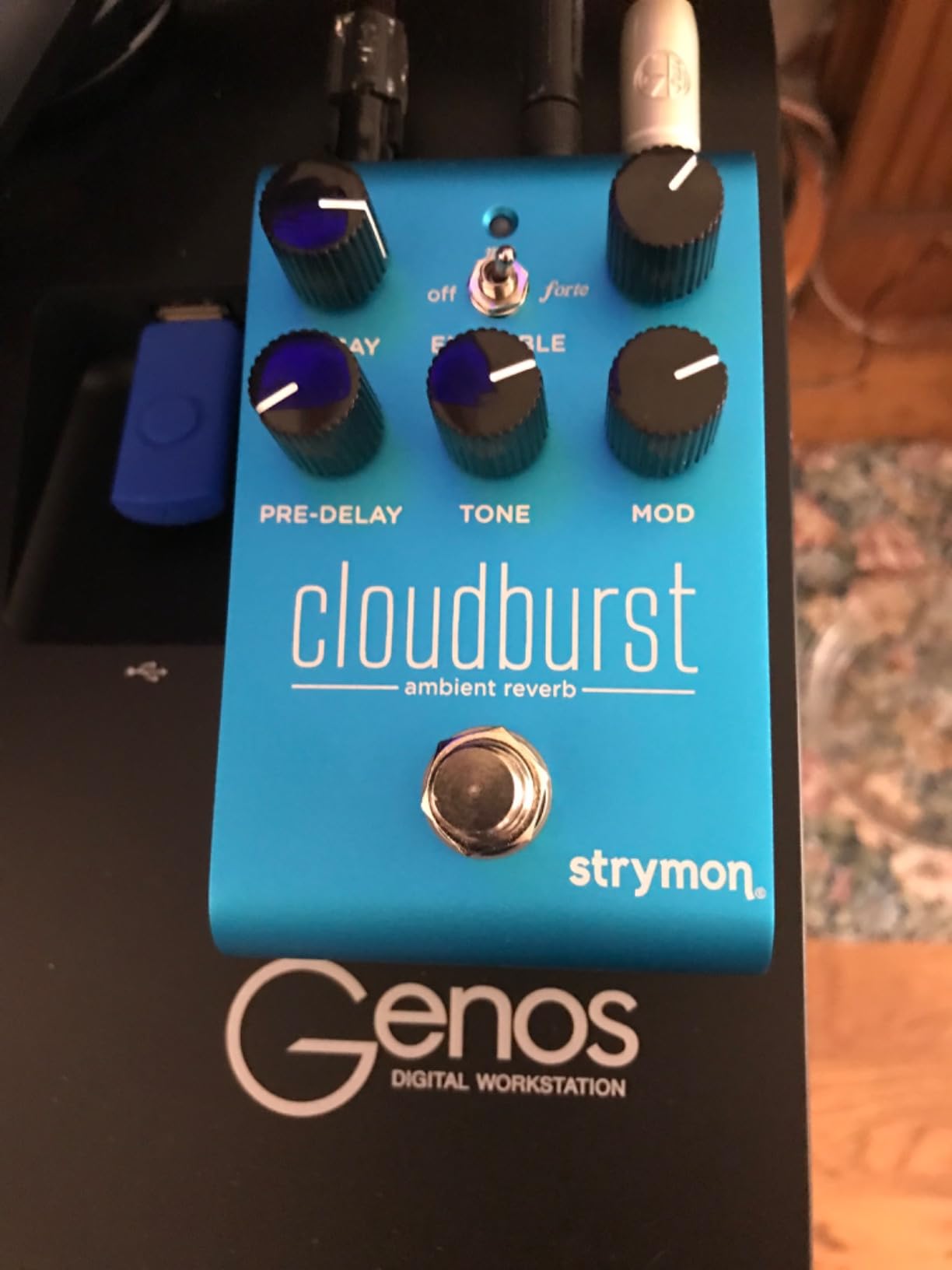 Strymon Cloudburst Ambient Reverb Pedal customer photo 2