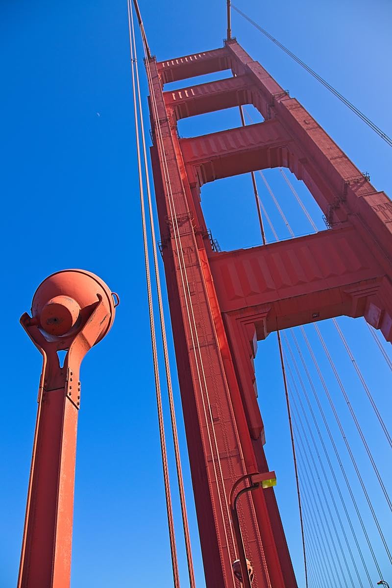 Canon EOS R8 Mirrorless Camera Body, Full-Frame CMOS Sensor, 24.2 Megapixels, 4K 60p Video, Dual Pixel Autofocus II, Lightweight Camera for Content Creation, Photography and Vlogging, Black customer photo 1