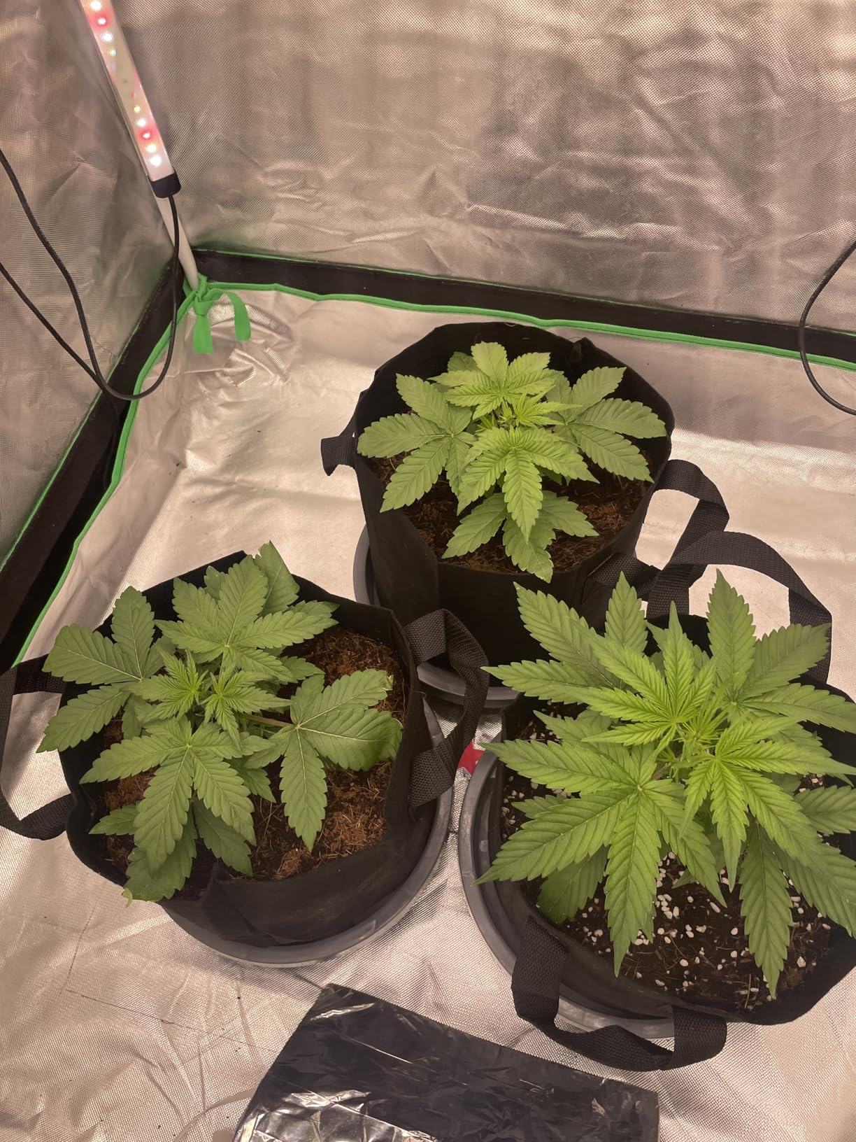 Quantum PAR Meter Full-Spectrum High Precision PPFD Tester for Photosynthetic Activity of Indoor and Outdoor Plants 400-700nm Light Lux Tester customer photo 1