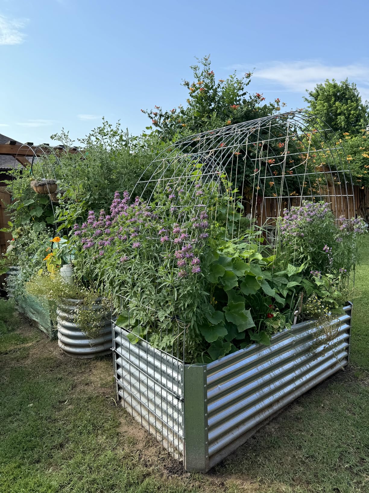 GEME Smart 19L Electric Composter for Kitchen, Filter No Need to Change, Real Compost, Not Dehydration Tec, Add Waste Anytime Bio Compost Machine, Electric Compost Bin Indoor Odorless Quiet customer photo 1