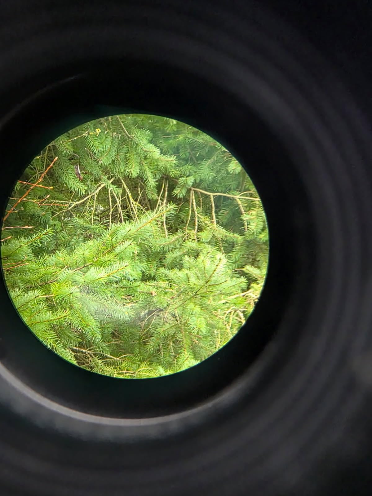 REDTIGER Golf Rangefinder with Slope Switch, 1200 Yards Range Finder Golfing, 7X Magnification, Flag Pole Locking Vibration, Rechargeable Range Finders with Magnet Stripe, GolfVue Series 1 customer photo 2