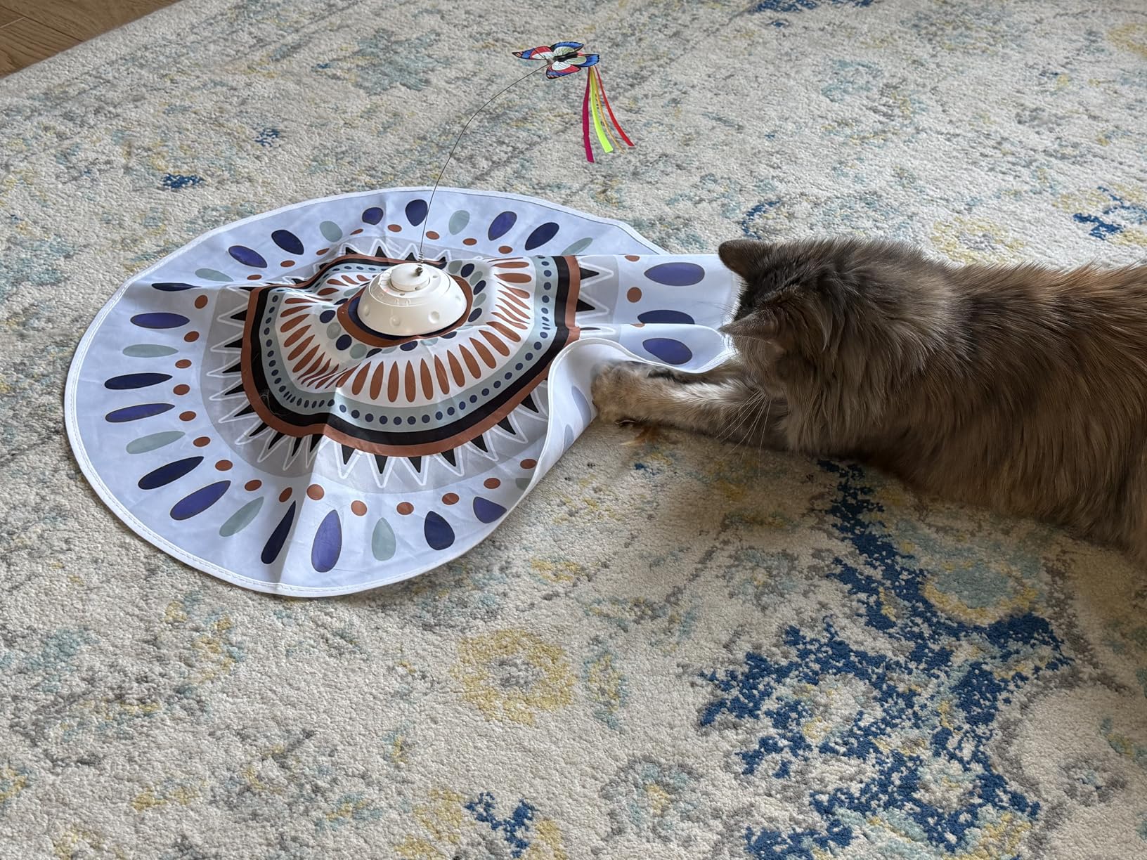 Potaroma Cat Toys Chargeable, 3in1 Hide and Seek, Automatic Interactive Fun, Fluttering Butterfly, Moving Feather, Kitten Wand, Indoor Kitty Exercise Kicker 22.8 Inch Cover for All Breeds customer photo 2