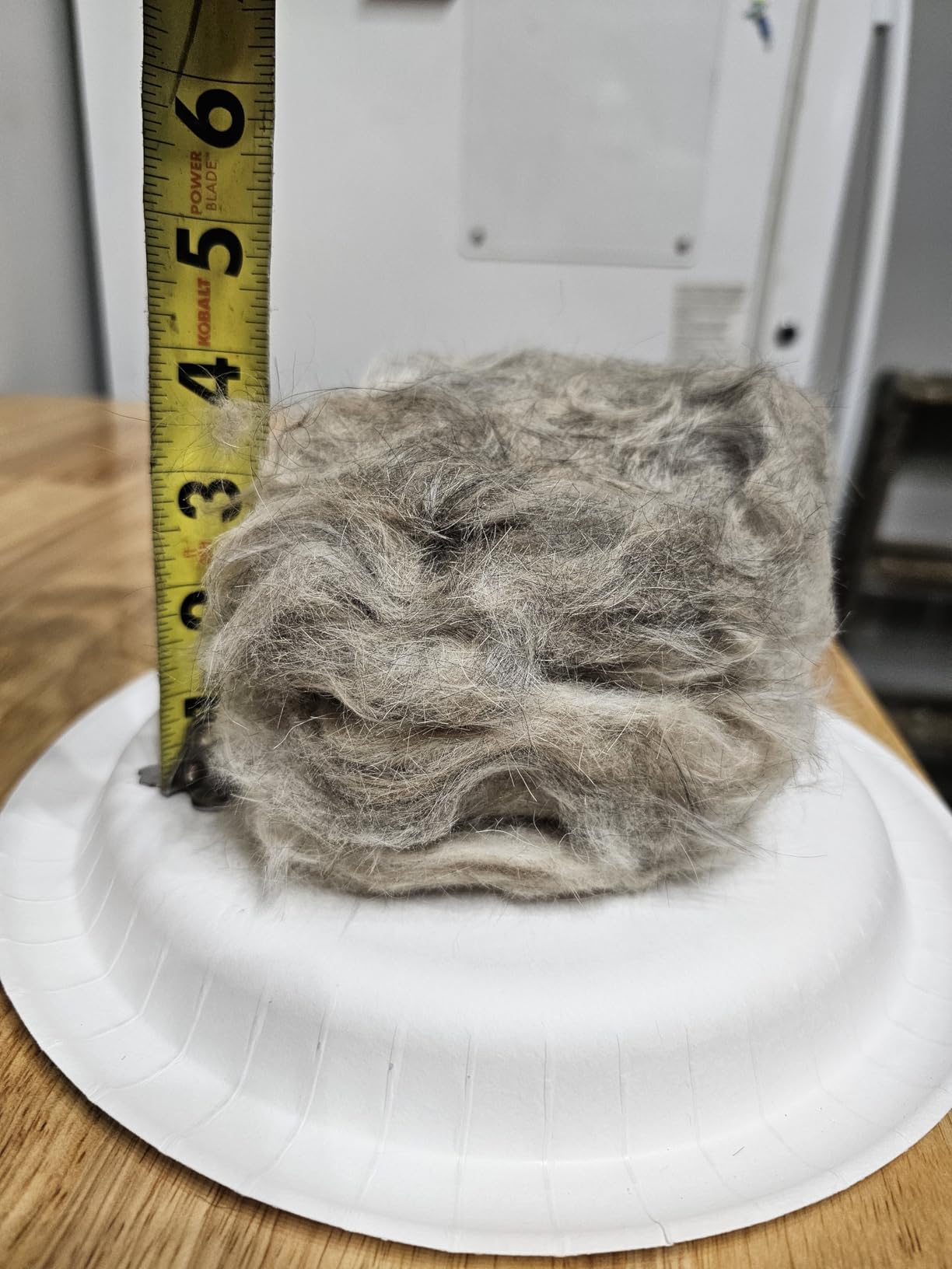 AIRROBO Dog Grooming Vacuum Kit,12000Pa Strong Pet Vacuum for Shedding,Grooming Hai,Quiet,PG100,2L Large Capacity customer photo 2