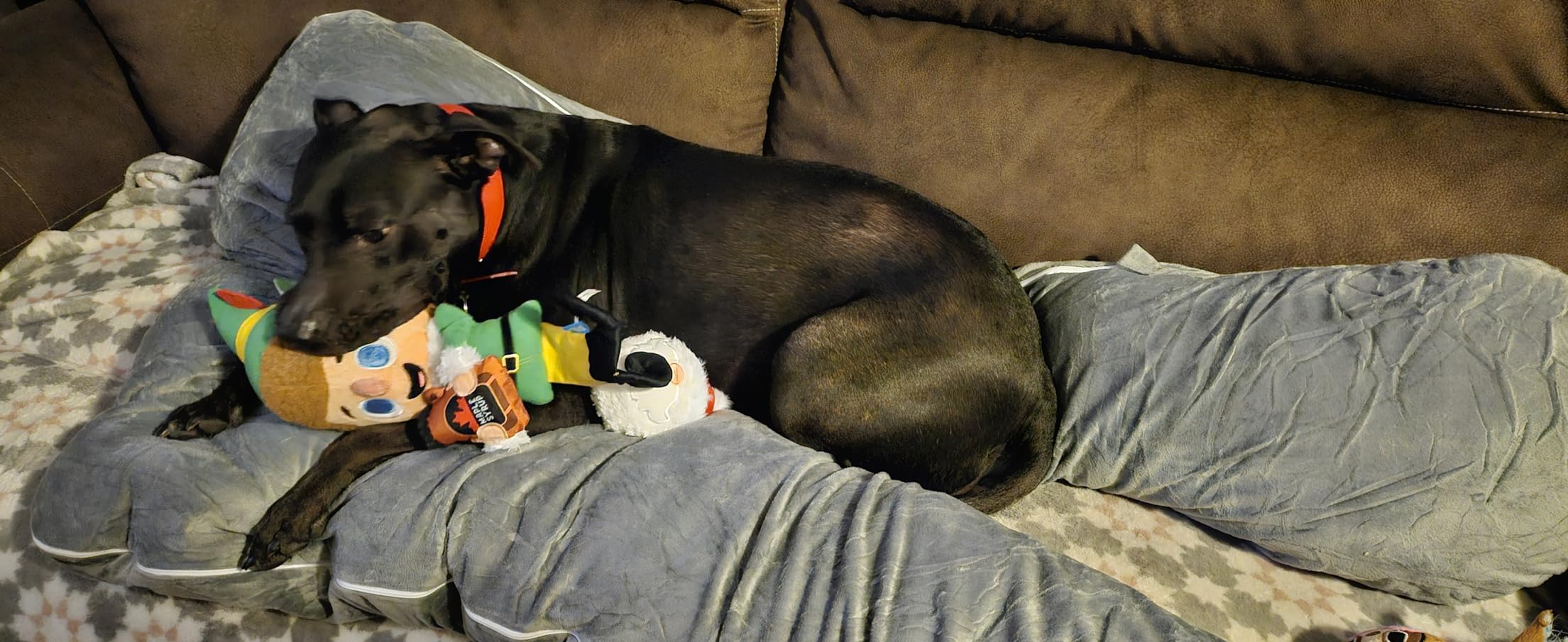 QUEEN ROSE Cooling Pregnancy Pillows, U Shaped Full Body Maternity Pillow for Pregnant Support, Rayon Derived from Bamboo, Buttery Soft, Super Breathable for Hot Sleeper, Green customer photo 2