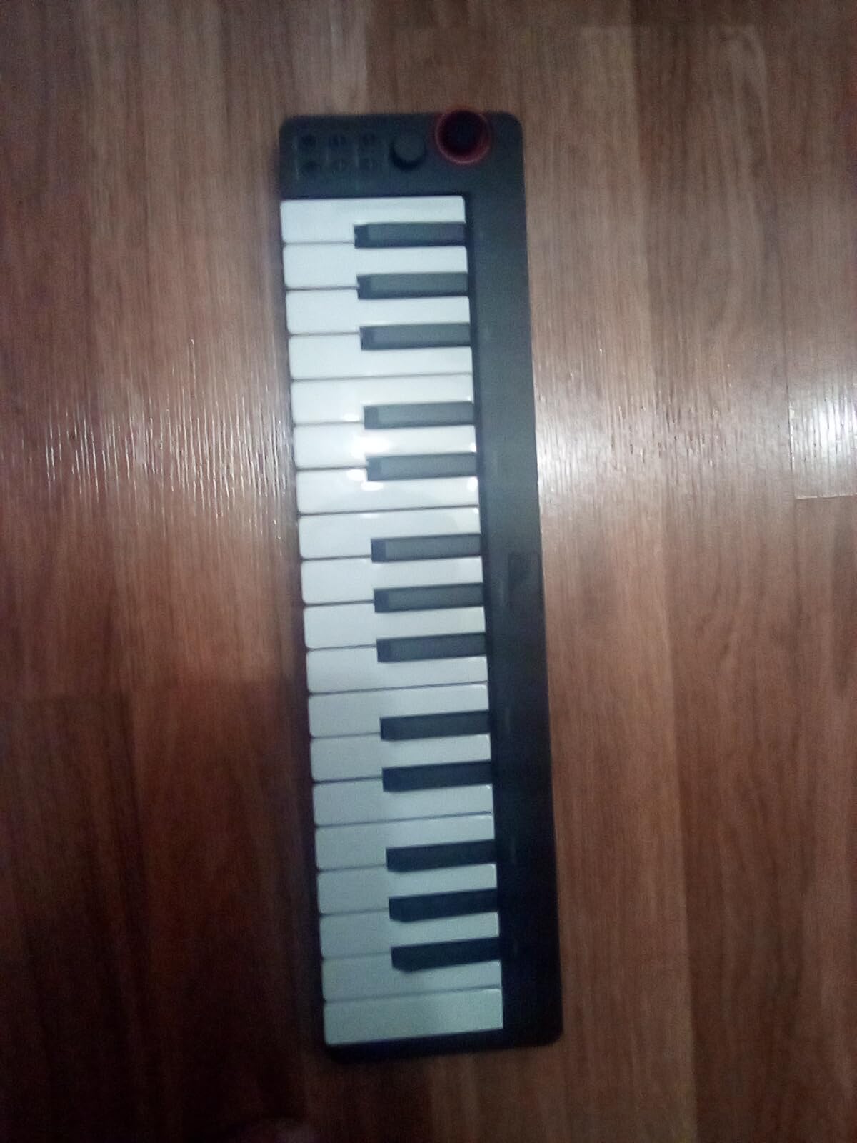 Donner Mini MIDI Keyboard, N-25 25 Key MIDI Controller for Beginner with Velocity-Sensitive Mini Keys&Light-up Rocker&Music Production Software, Small Controlador MIDI with 40 Teaching Courses customer photo 1