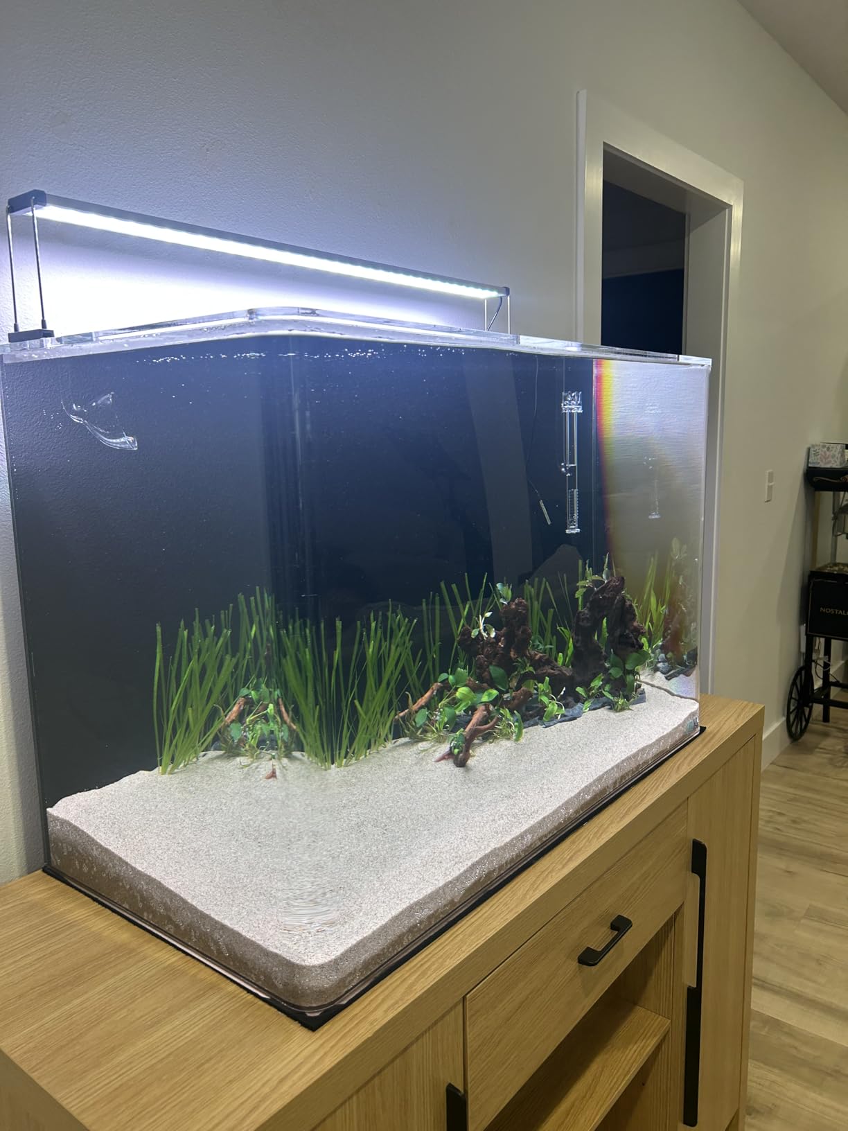 Chihiros B Series - Full Spectrum Dimmable Freshwater Aquarium LED Light, App Controlled for Planted Tank Aquascaping - B60 customer photo 2