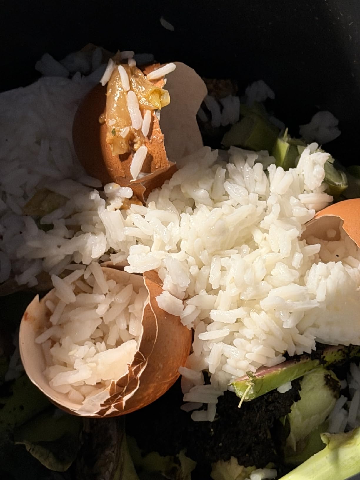 Food Cycler Eco 5 Award-Winning Kitchen Food Recycler | Indoor Composter Bin Alternative | Electric Countertop Food Disposer with Odorless 5L Indoor Food Waste Bin for Easy Waste Management | Grey customer photo 1