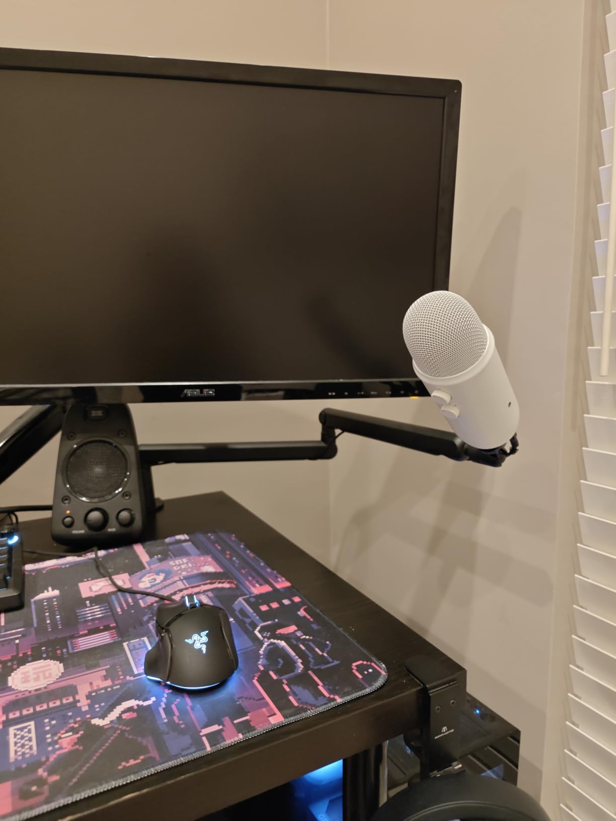 FIFINE Microphone Boom Arm, Low Profile Adjustable Stick Microphone Arm Stand with Desk Mount Clamp and Cable Management customer photo 1