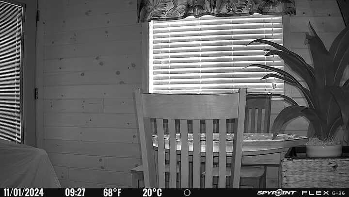 SPYPOINT Flex G-36 Twin Pack Cellular Trail Camera, 36MP Photos and 1080p Videos with Sound, GPS Enabled, Dual-Sim LTE Connectivity, 100' Flash & Detection Range, Responsive Trigger up to .3S customer photo 1