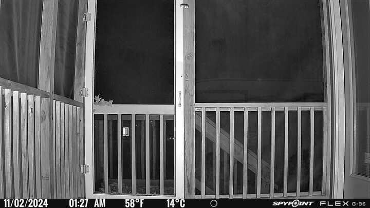 SPYPOINT Flex G-36 Twin Pack Cellular Trail Camera, 36MP Photos and 1080p Videos with Sound, GPS Enabled, Dual-Sim LTE Connectivity, 100' Flash & Detection Range, Responsive Trigger up to .3S customer photo 2