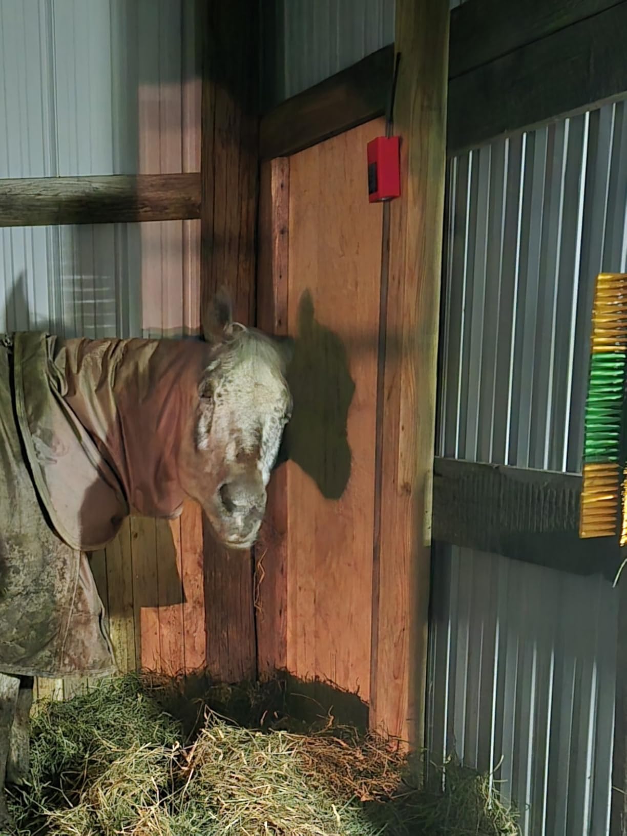 Emergency Weather Radio, 4000mAh NOAA Weather Alert Radio Solar Charging, Hand Crank & USB Charged, AM/FM with LED Flashlight, Reading Lamp, SOS Alarm, Headphone Jack for Outdoor Indoor customer photo 1