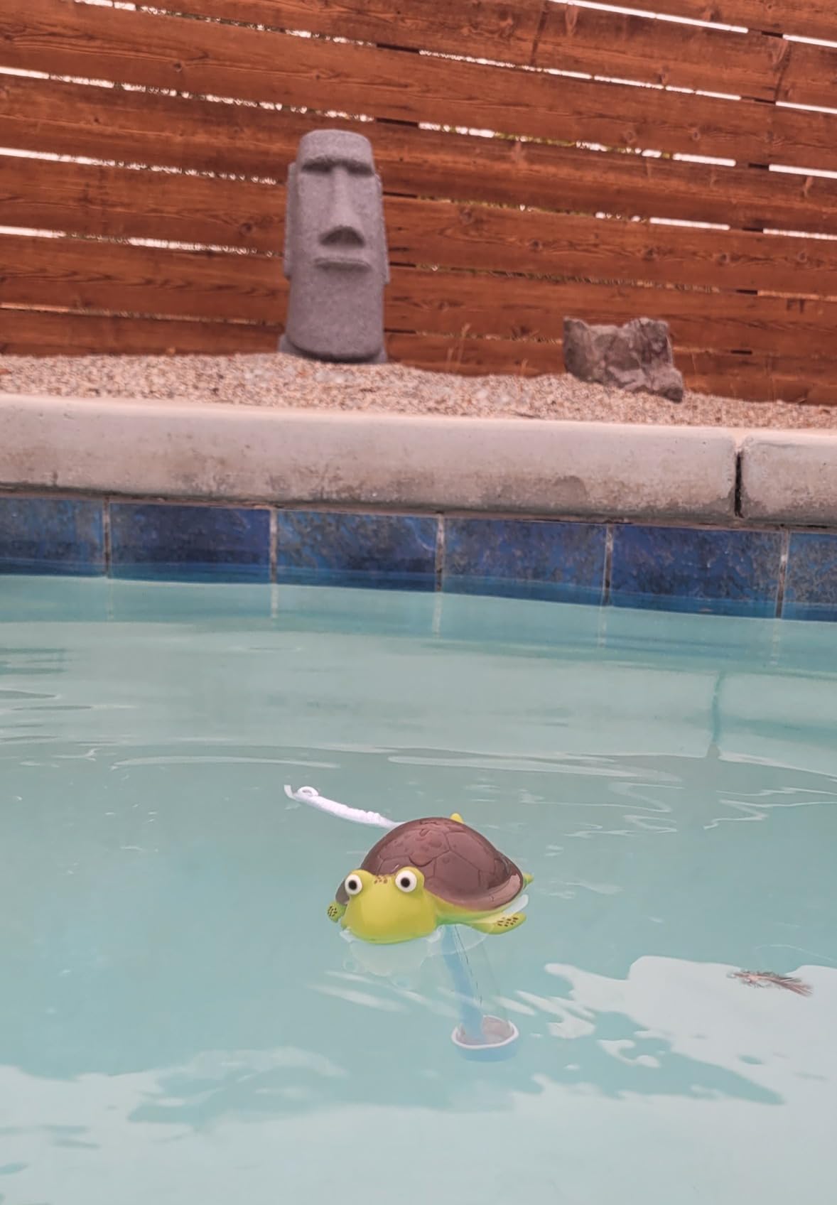 Floating Pool Thermometer, Large Display with String Easy to Read, Shatter Resistant, for Outdoor & Indoor Swimming Pools, Spas, Hot Tubs & Aquariums (Turtle) customer photo 1