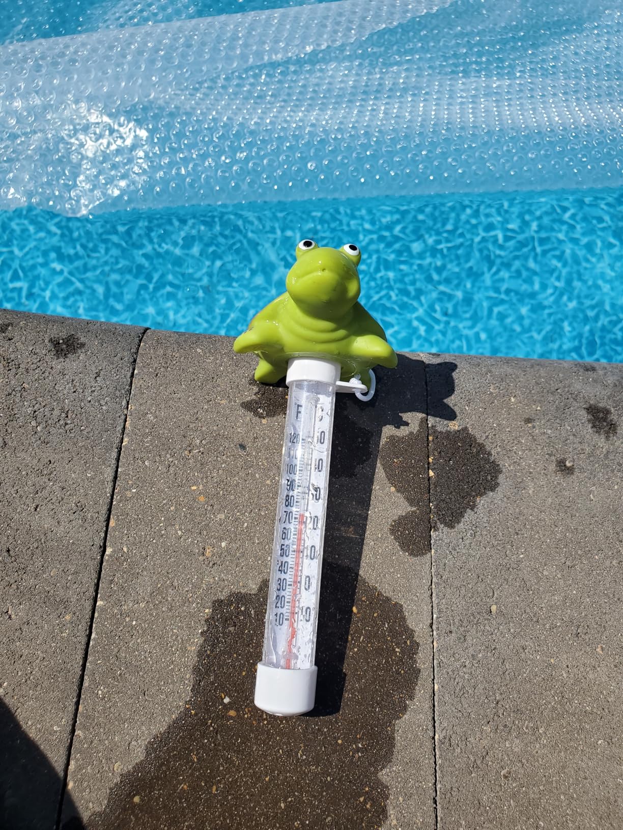 Floating Pool Thermometer, Large Display with String Easy to Read, Shatter Resistant, for Outdoor & Indoor Swimming Pools, Spas, Hot Tubs & Aquariums (Turtle) customer photo 2