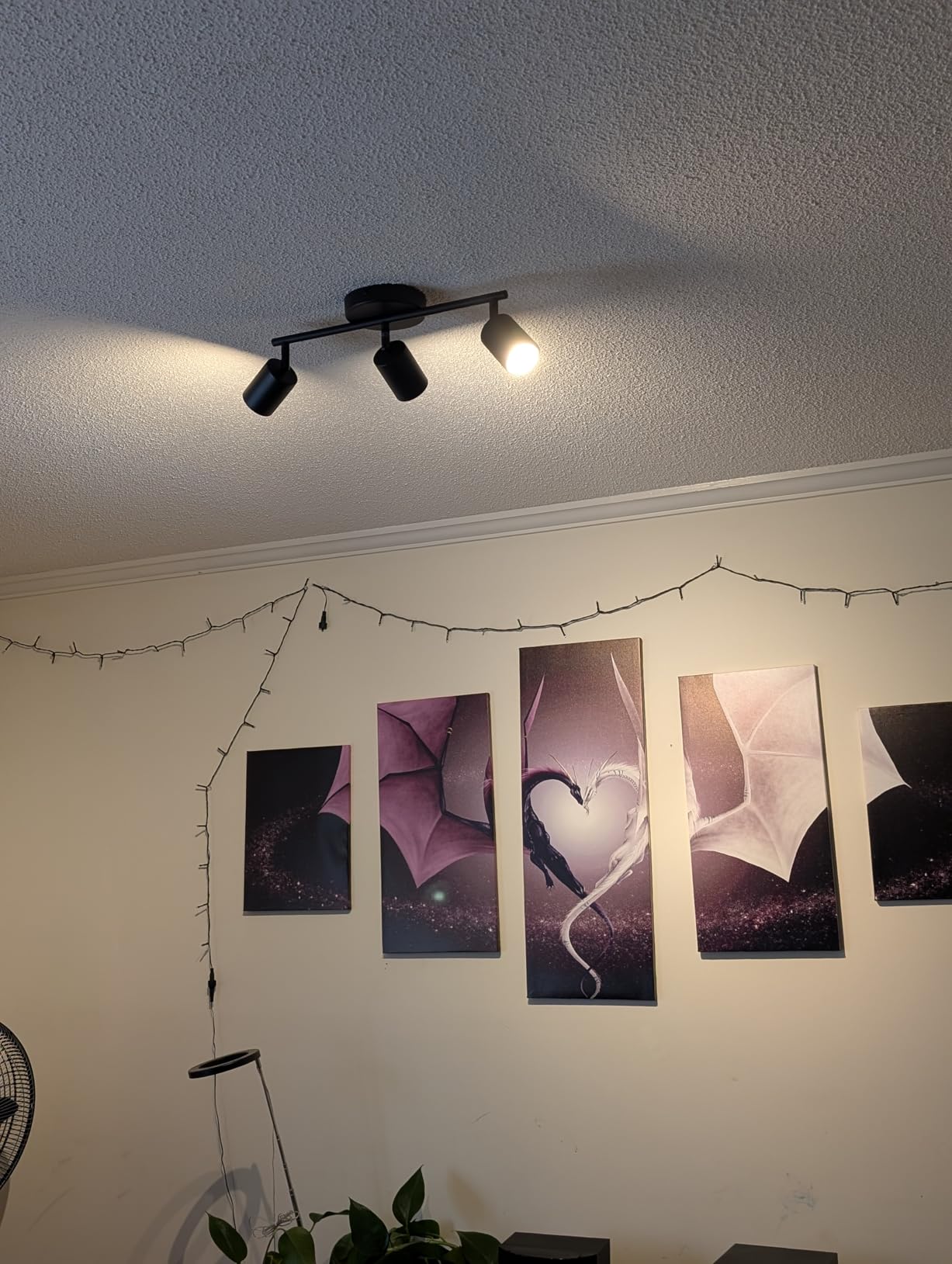 BoostArea LED 4 Light Track Lighting Kit, Black 4 Way Ceiling Spot Lighting, Flexibly Rotatable Light Head for Kitchen, Living Room, Bedroom, Bulb Not Included customer photo 1