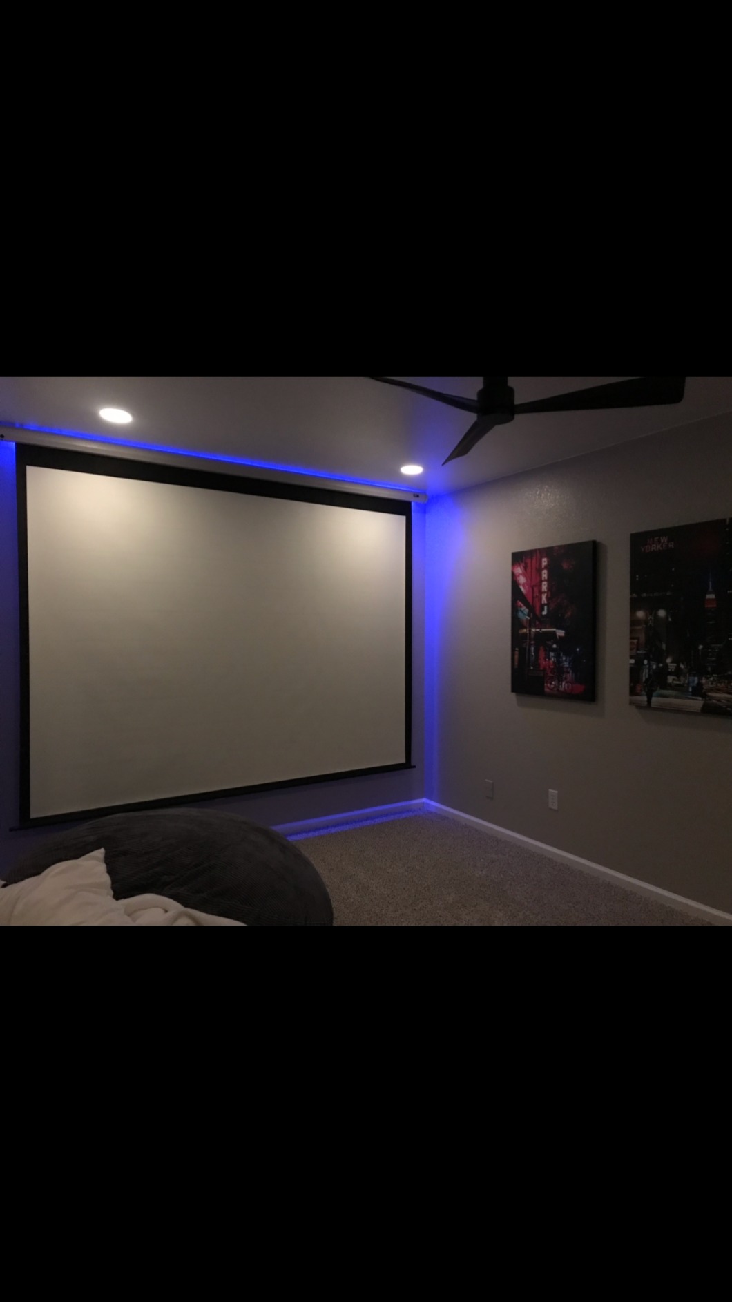 Elite Screens Spectrum RC1 Remote, 125-INCH Diag 16:9, Motorized Projection Screen Movie Home Theater 4K/8K Ultra HD Ready Drop Down, ELECTRIC125H2, Black Case customer photo 1