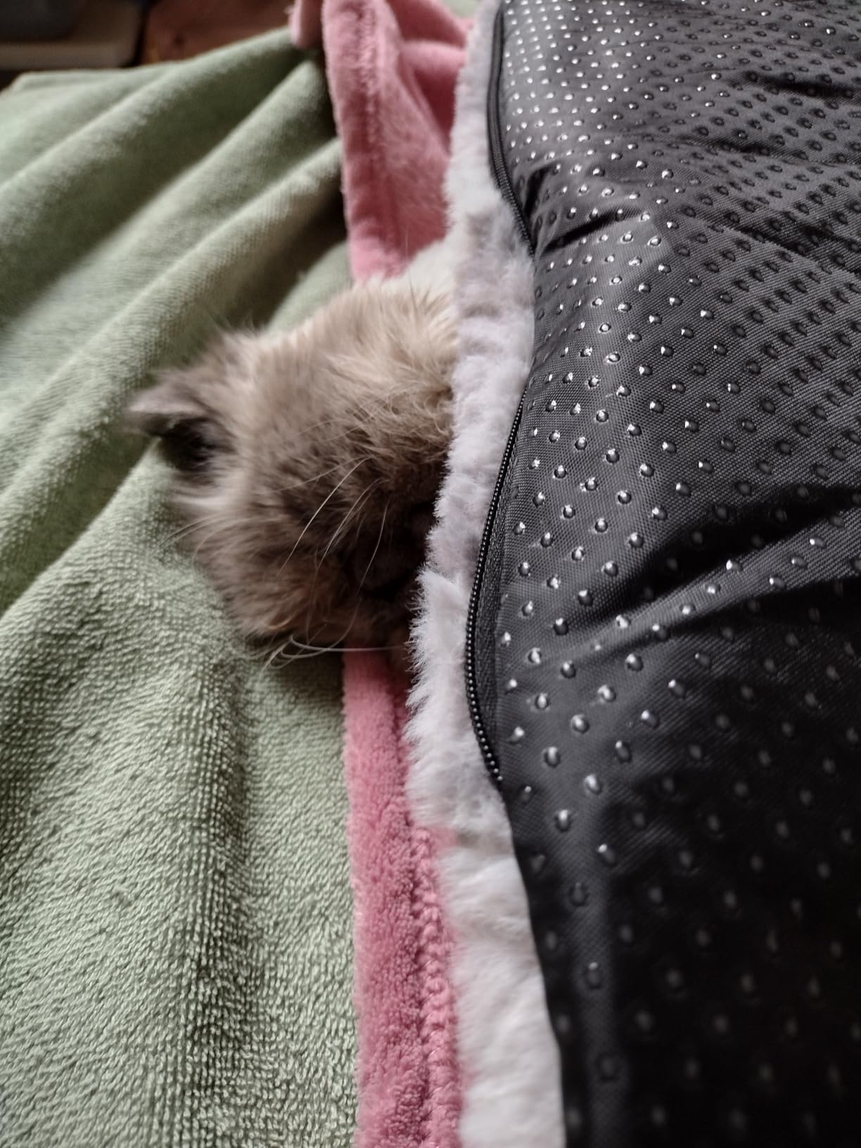 Self Warming Cat Bed, 24