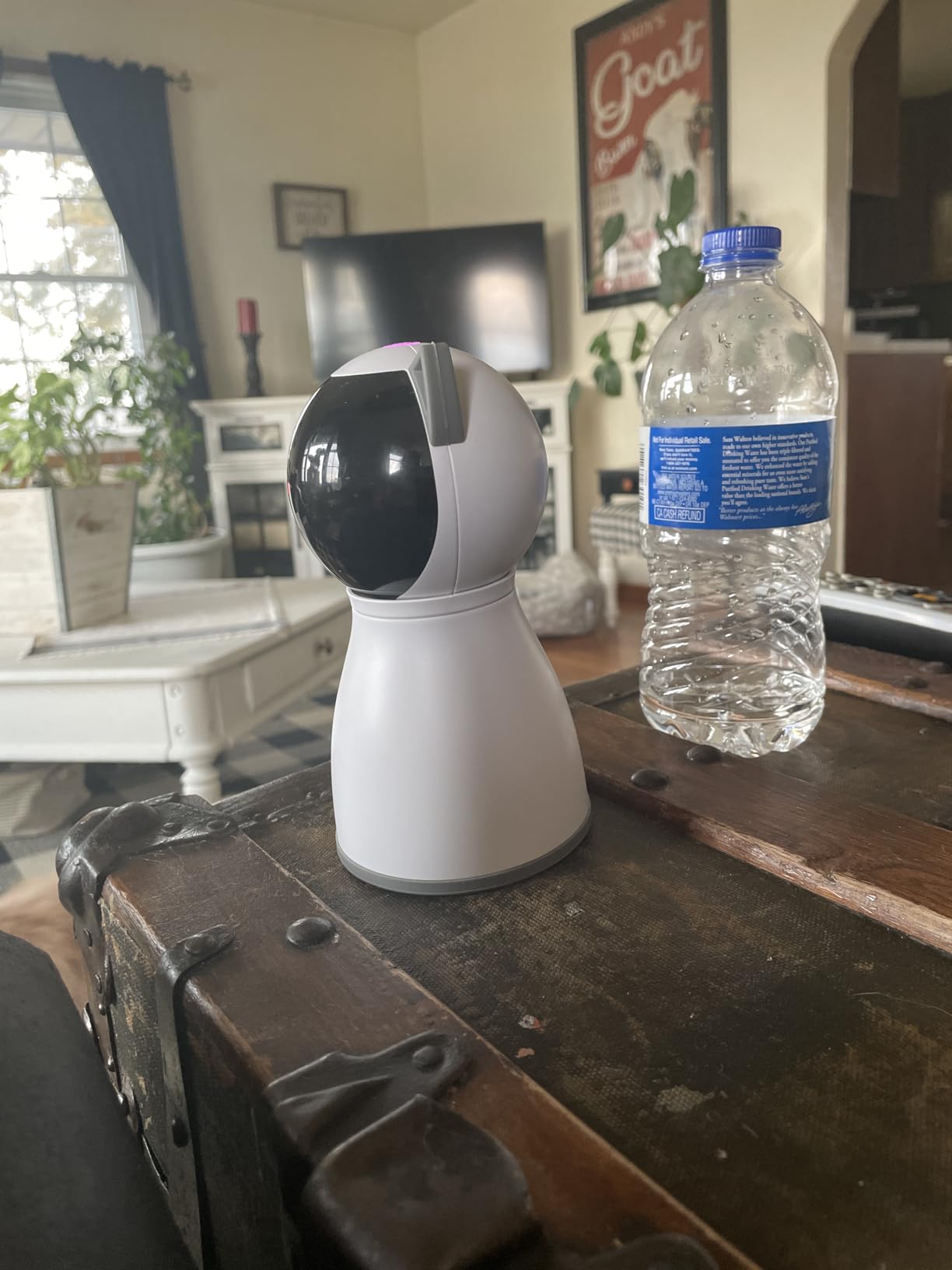 YVE LIFE Laser Cat Toys for Indoor Cats,The 4th Generation Real Random Trajectory Motion Activated Rechargeable Automatic Cat Laser Toy,Interactive Cat Toys for Bored Indoor Adult Cats/Kittens(White) customer photo 2