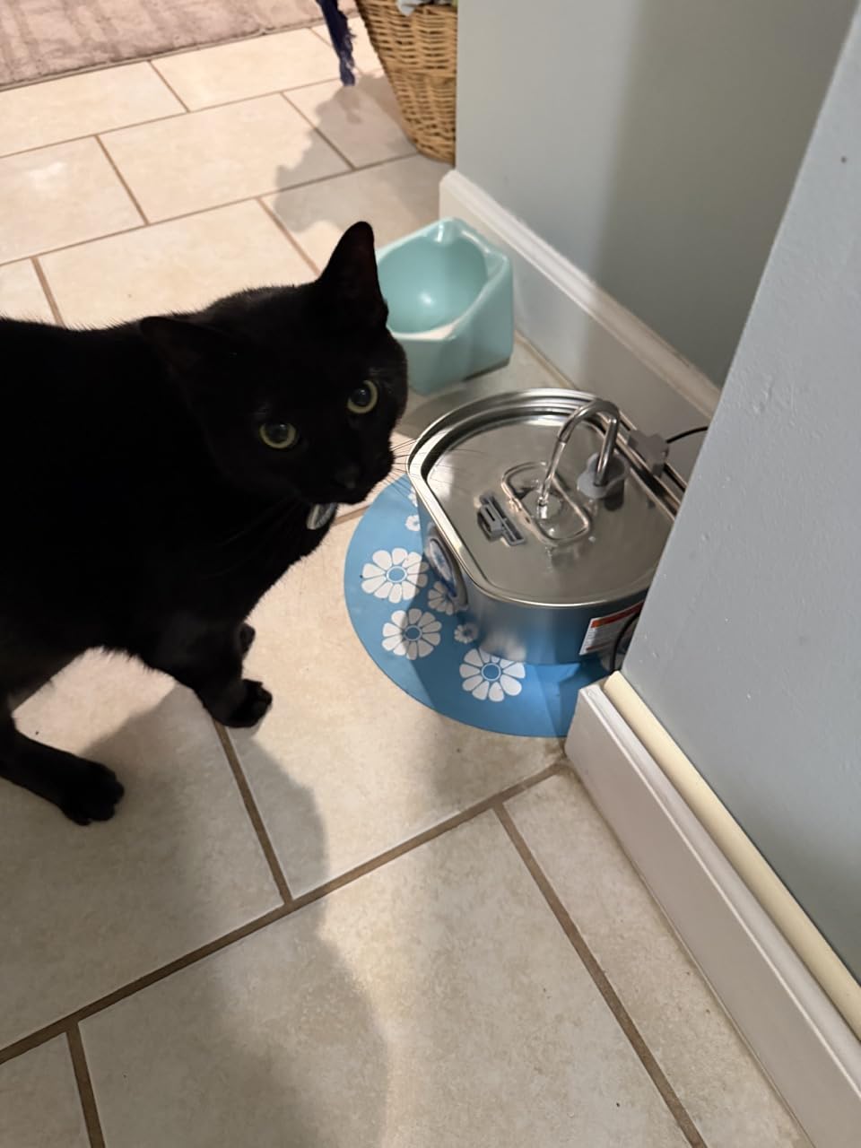 Cat Water Fountain Stainless Steel: 108oz/3.2L Cat Fountain for Drinking - Pet Water Fountain Inside - Automatic Dog Watering Dispenser Bowl - Pet Feeding & Watering Supplies - Water Level Window customer photo 2