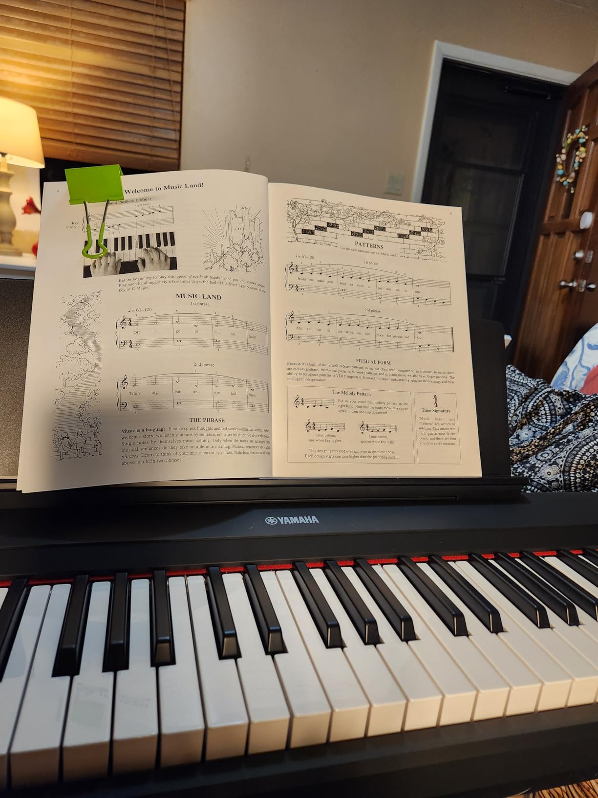 Yamaha Piaggero 61-Key Ultra-Portable Digital Piano, Touch Sensitive Keys, Metronome, Recording Function, Black NP15B customer photo 2