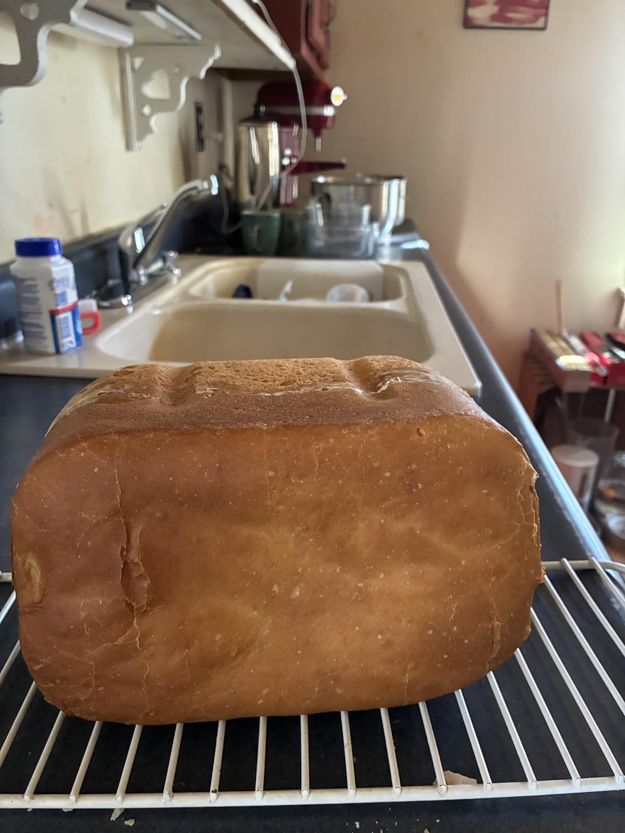 Neretva Bread Maker, 3.3LB Larger Bread Machine 15-in-1 Stainless Steel & Nonstick Ceramic Pan & Auto Nut Dispenser Breadmaker Machines Full Touch Panel with Gluten Free White Wheat Rye French Pizza customer photo 1