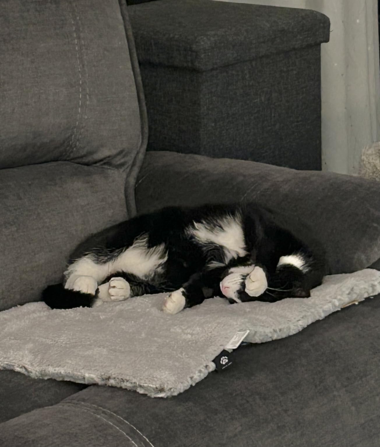 Self Heating Cat Pad Self Warming Cat Bed 22