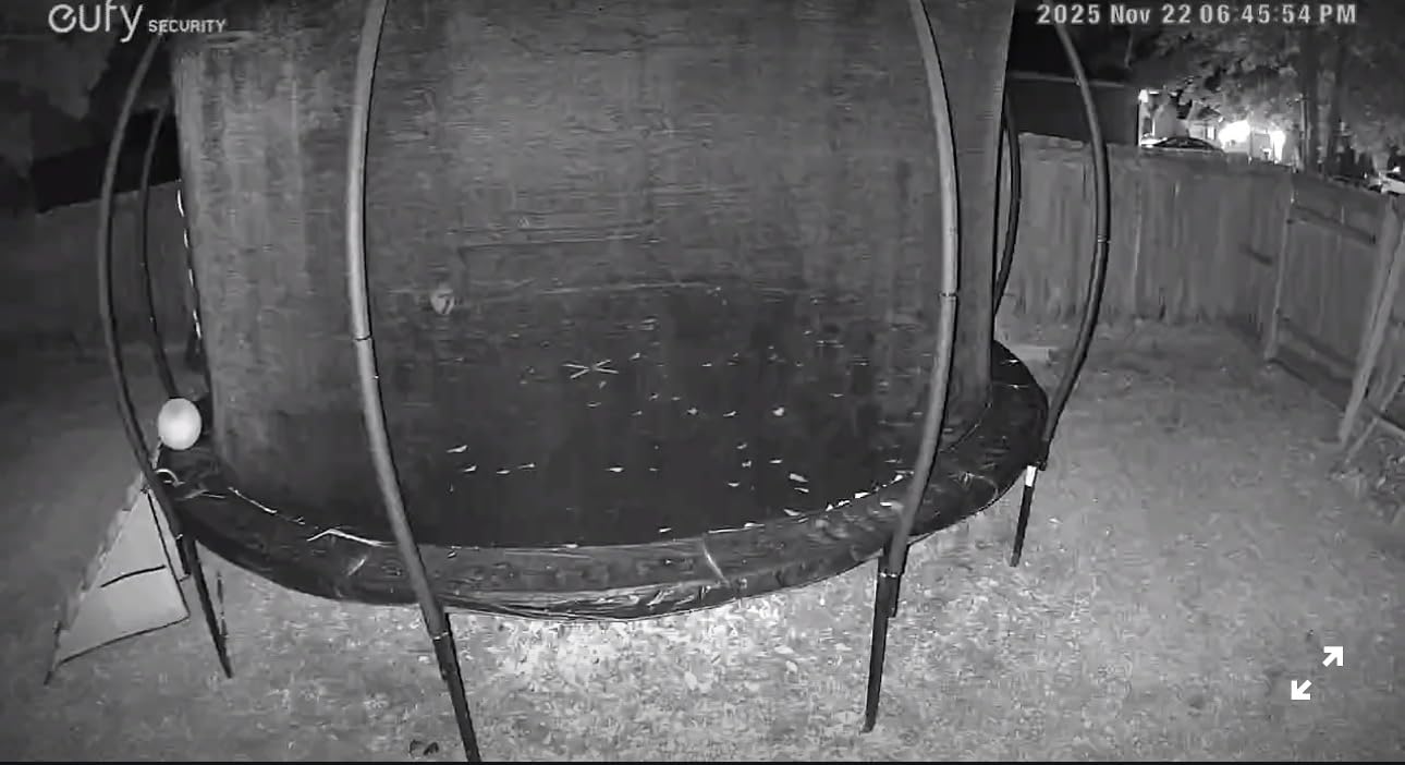 eufy Security Solar Wall Light Cam S120, Solar Security Cameras Wireless Outdoor, Camera, Forever Power, Motion Activated Light, AI Detection, IP65 Waterproof, Spotlight, No Monthly Fee customer photo 2