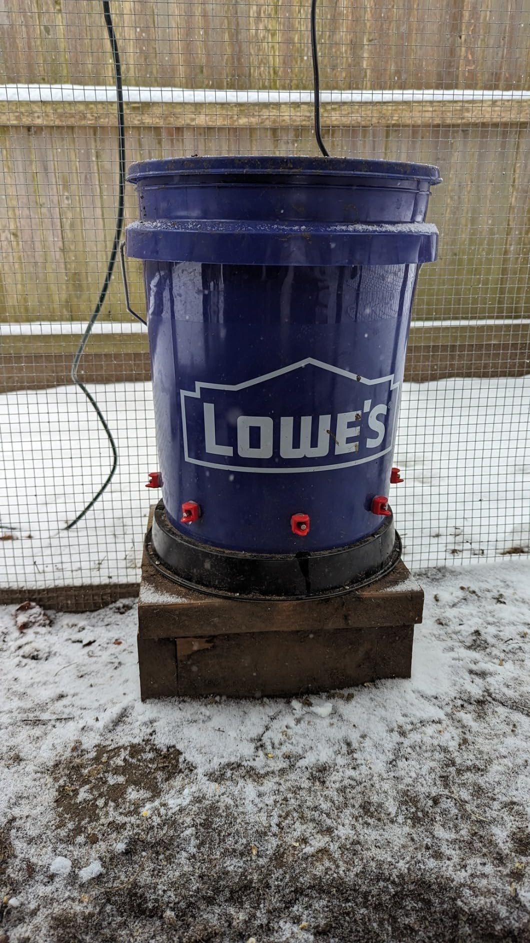 Chicken Water Heater for Winter, 110 Watt Chicken Drinker Heated Base 11 in Chicken Waterer Heater with Thermostat customer photo 2