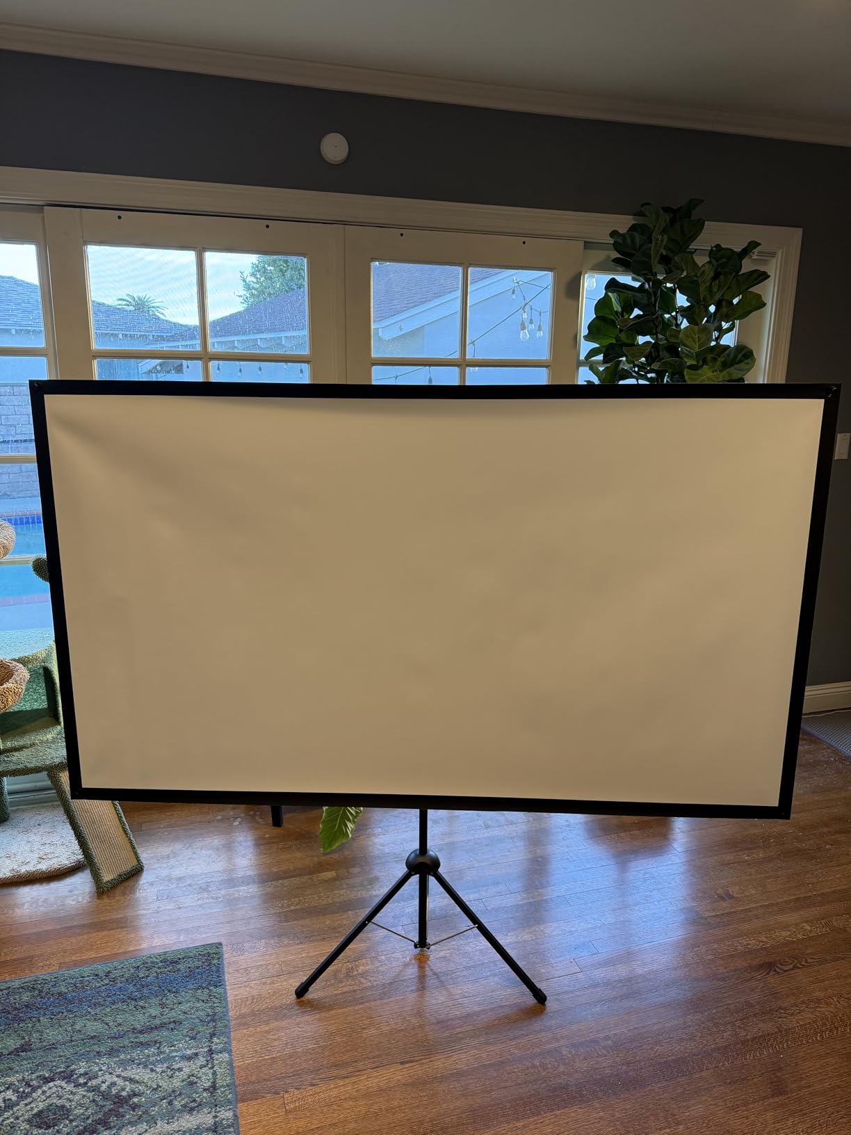 Projector Screen with Stand, Paris RHÔNE 100-inch Outdoor Indoor Projector Screen 16:9 4K HD PVC, 1.5 Gain Portable Wrinkle-Free Movie Screen for Home Backyard Theater with Carry Bag, Ground Nails customer photo 1