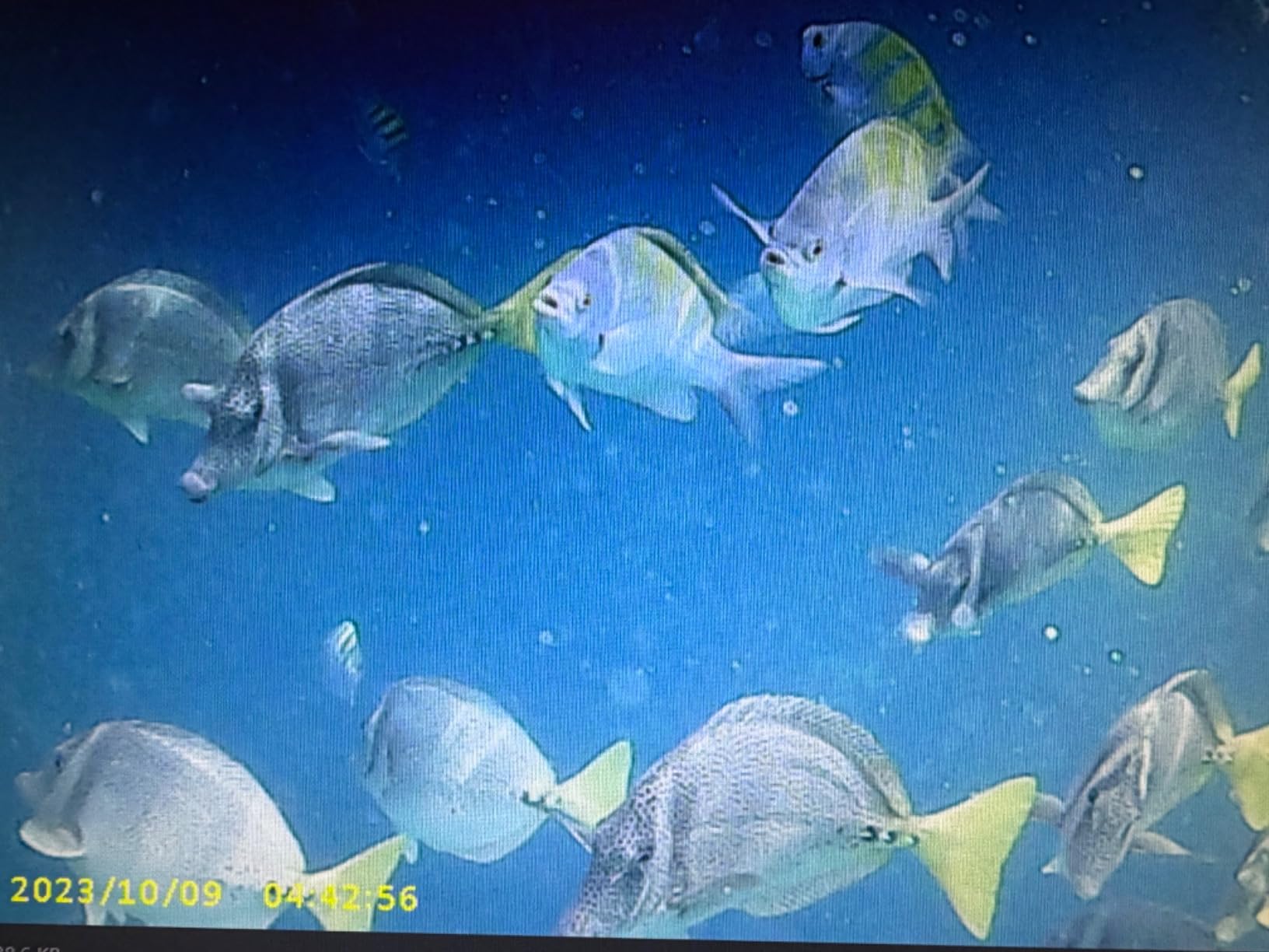 Agoigo Kids Waterproof Camera - Children Underwater HD Video Digital Camcorder, Portable Travel Toy for Toddler - Ideal Christmas Birthday Gifts for Boys Girls Age 3-12 with 32GB Card (Dark Blue) customer photo 2