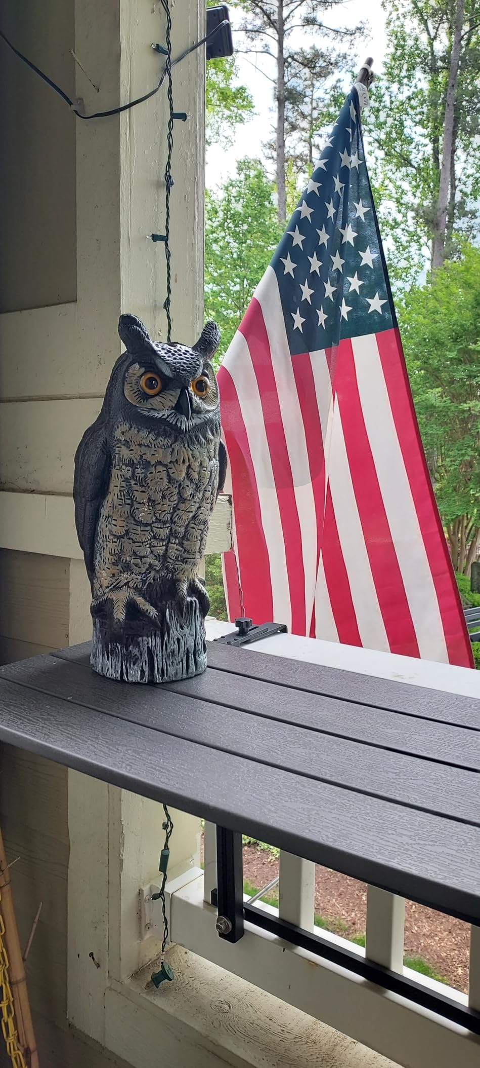 Dalen Large Fake Owl Decoy to Scare Birds Away - 16 in Hand-Painted Great Horned Owl Garden Scarecrow for Natural Pest Control - Fixed Head Design - Secure Upright by Filling with Sand/Gravel Only customer photo 2