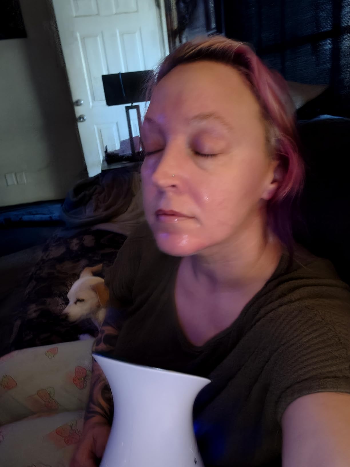 Pure Daily Care NanoSteamer Large 3-in-1 Nano Ionic Facial Steamer with Precise Temp Control - Humidifier - Unclogs Pores - Blackheads - Spa Quality - Bonus 5 Piece Stainless Steel Skin Kit (Silver) customer photo 2