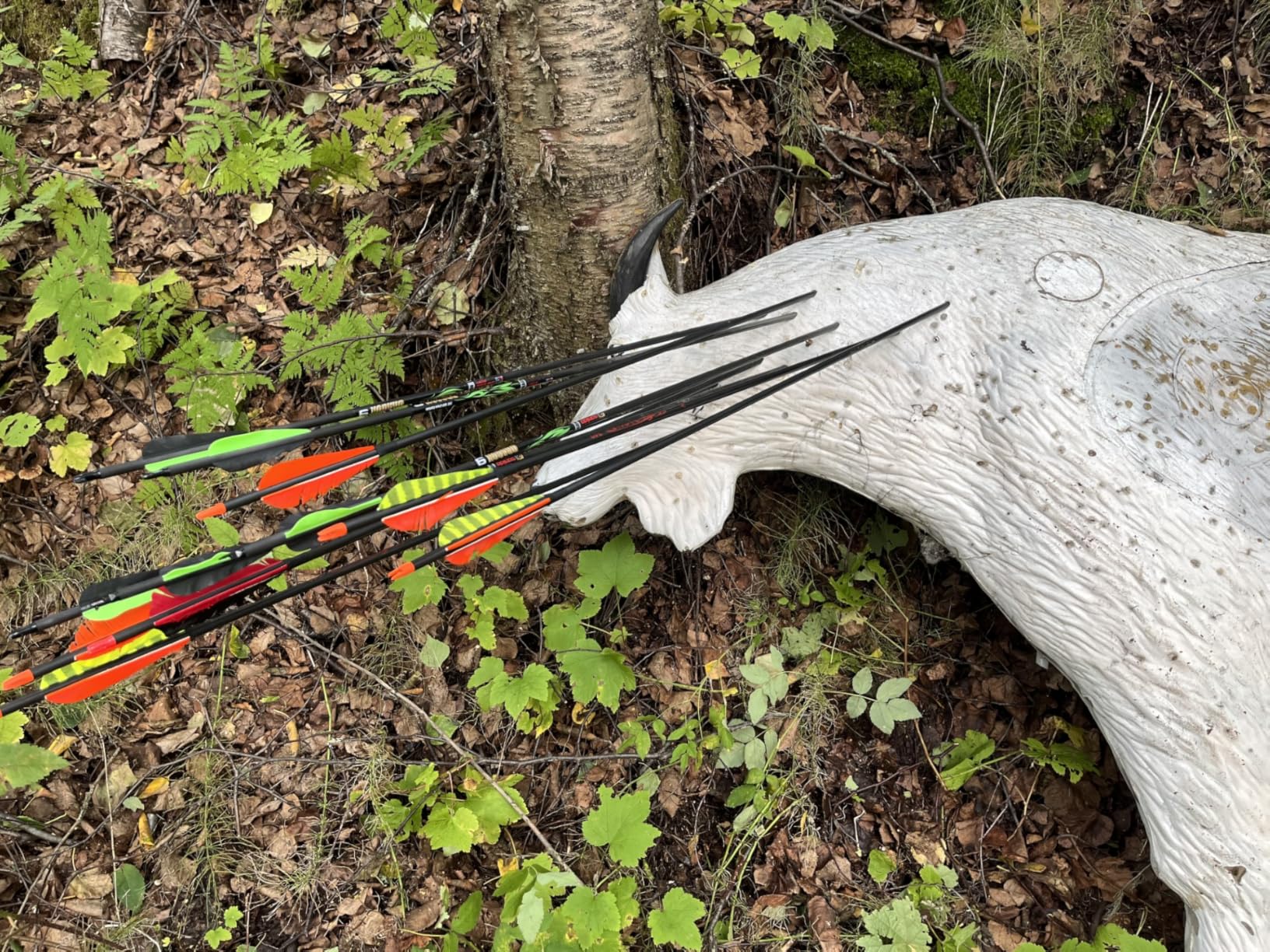 Sanlida Dragon X9 Ready to Hunt Compound Bow Package for Adults, Archery Compound Bow and Arrow Set, 0-70 Lbs Draw Weight, No Bow Press Needed, Limited Life-time Warranty, RH Only customer photo 2