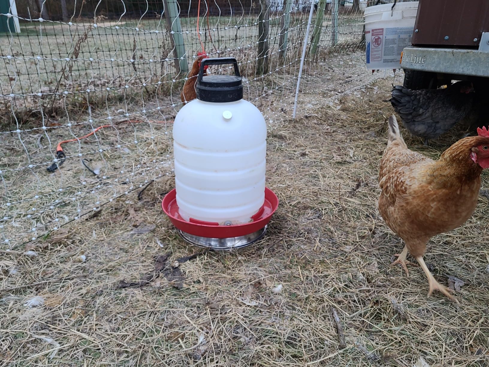 12 Inch Chicken Water Heater Base, 5 Gallons Poultry Drinker Heater Base with Thermostat and Power Cord, Automatic Electric Poultry Winter Deicer Heated Base for Plastic/Metal Chicken Waterer customer photo 2