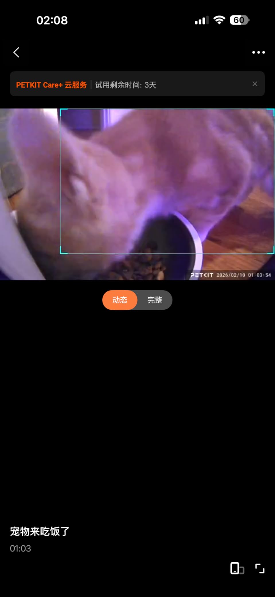 PETKIT Automatic Cat Feeder with Camera, 1080P HD Video with Night Vision, 2.4G WiFi Pet Feeder for Cat & Small Dog, 2-Way Audio & Meal Call Pet Food Dispenser with Desiccant Bag, Motion Capturing customer photo 2