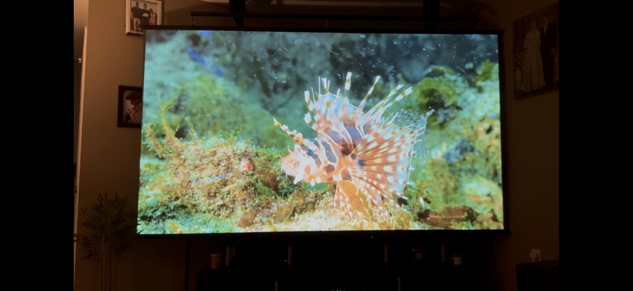 4K Projector with Wifi and Bluetooth, ELEPHAS Outdoor Movie Projector Compatible with NETFLIX/Prime Video/YouTube, 100,000+ Apps Supported, Smart Video Projector for HDMI/USB/iOS/Android/Windows customer photo 2