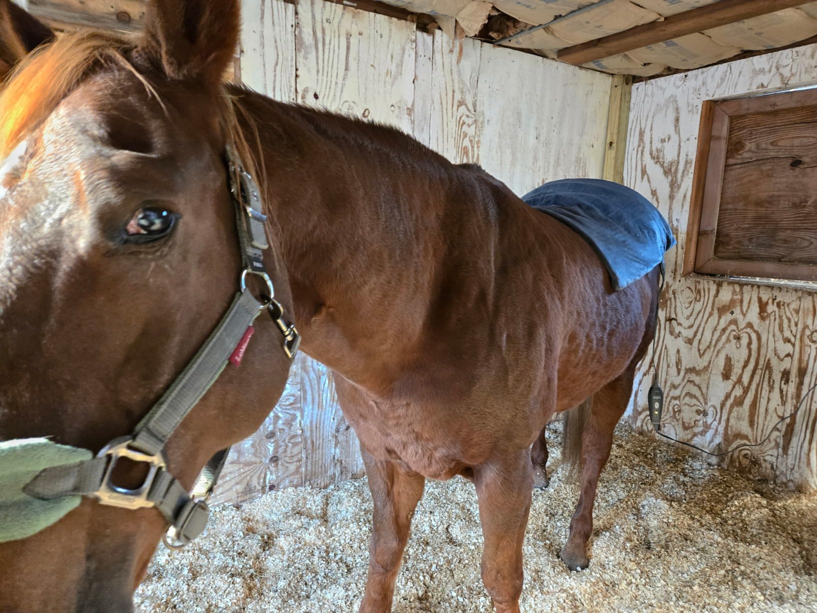 Pure Enrichment PureRelief Pro Far Infrared Oversized Body Wrap - 35