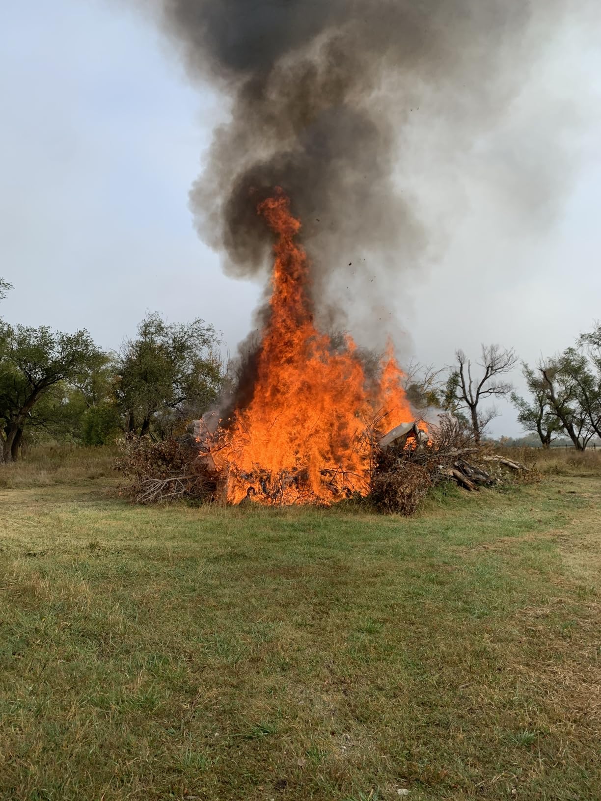 DOMINOX Propane Torch Head for MAP, MAPP and Propane Tank, High Intensity Trigger Start Torch, for Soldering, Ignition, Cooking, Lighting (Not Included Gas Tank) customer photo 1