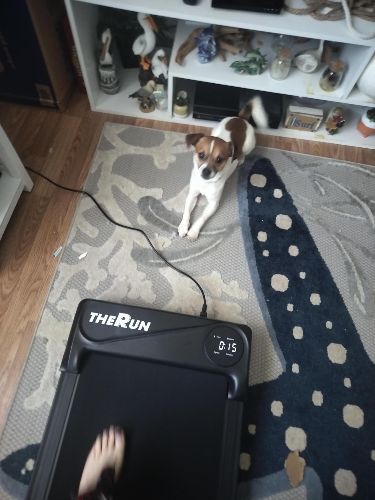 THERUN Walking Pad Treadmill Under Desk, Portable Mini Treadmill for Home/Office, Walking Pad Machine with 2.5HP and 265 lbs Weight Capacity Remote Control LED Display customer photo 2