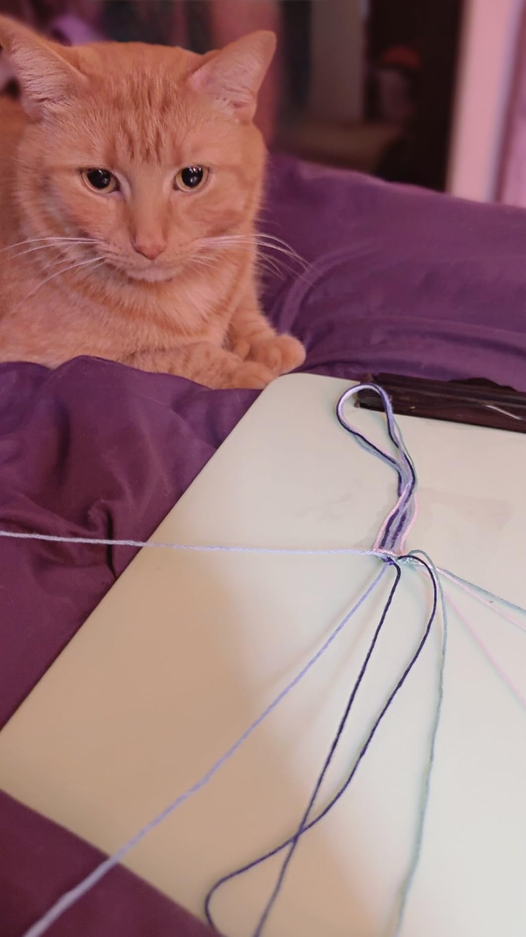 LE PAON 50 Skeins Embroidery Floss Rainbow Color Per Pack Cross Stitch Threads Friendship Bracelets Floss Crafts Floss (50) customer photo 1