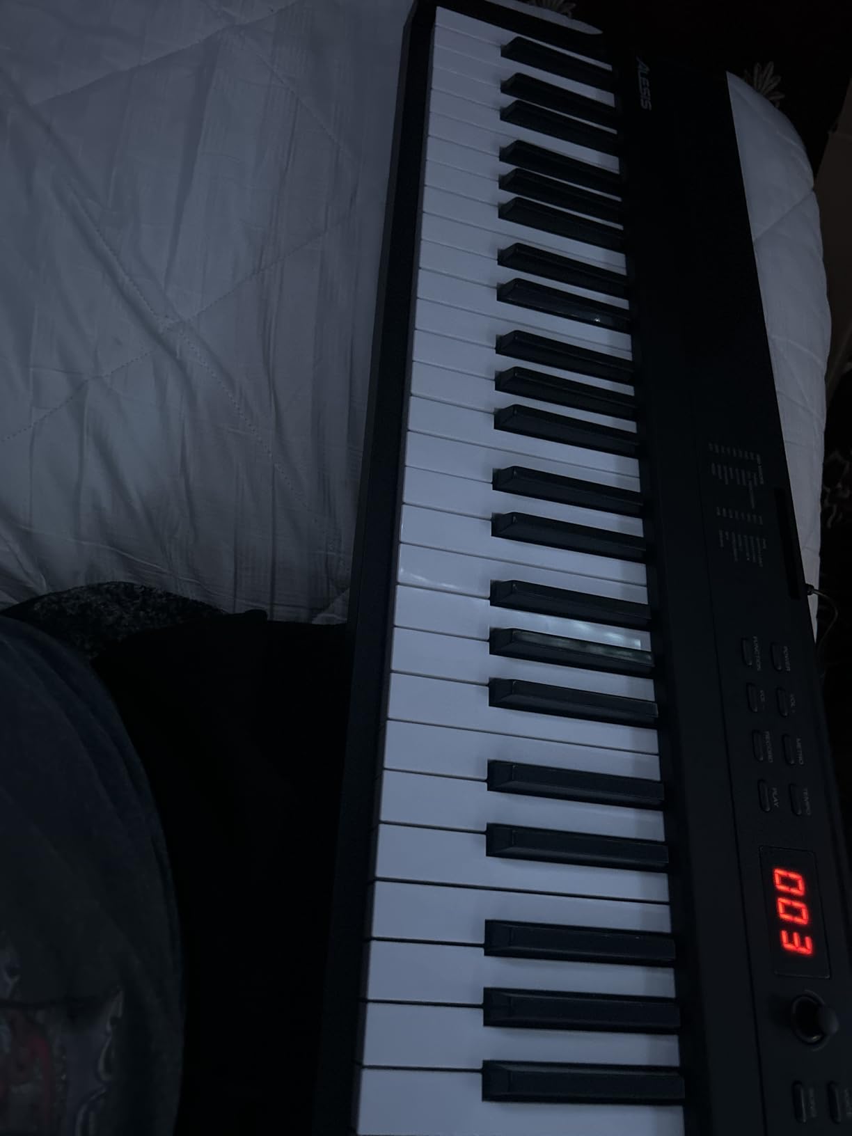 Alesis 88 Key Keyboard Piano with 480 Sounds, Speakers, USB MIDI, Carry-Bag, Stand, Headphones, Pedal and Piano Lessons for Beginners customer photo 2