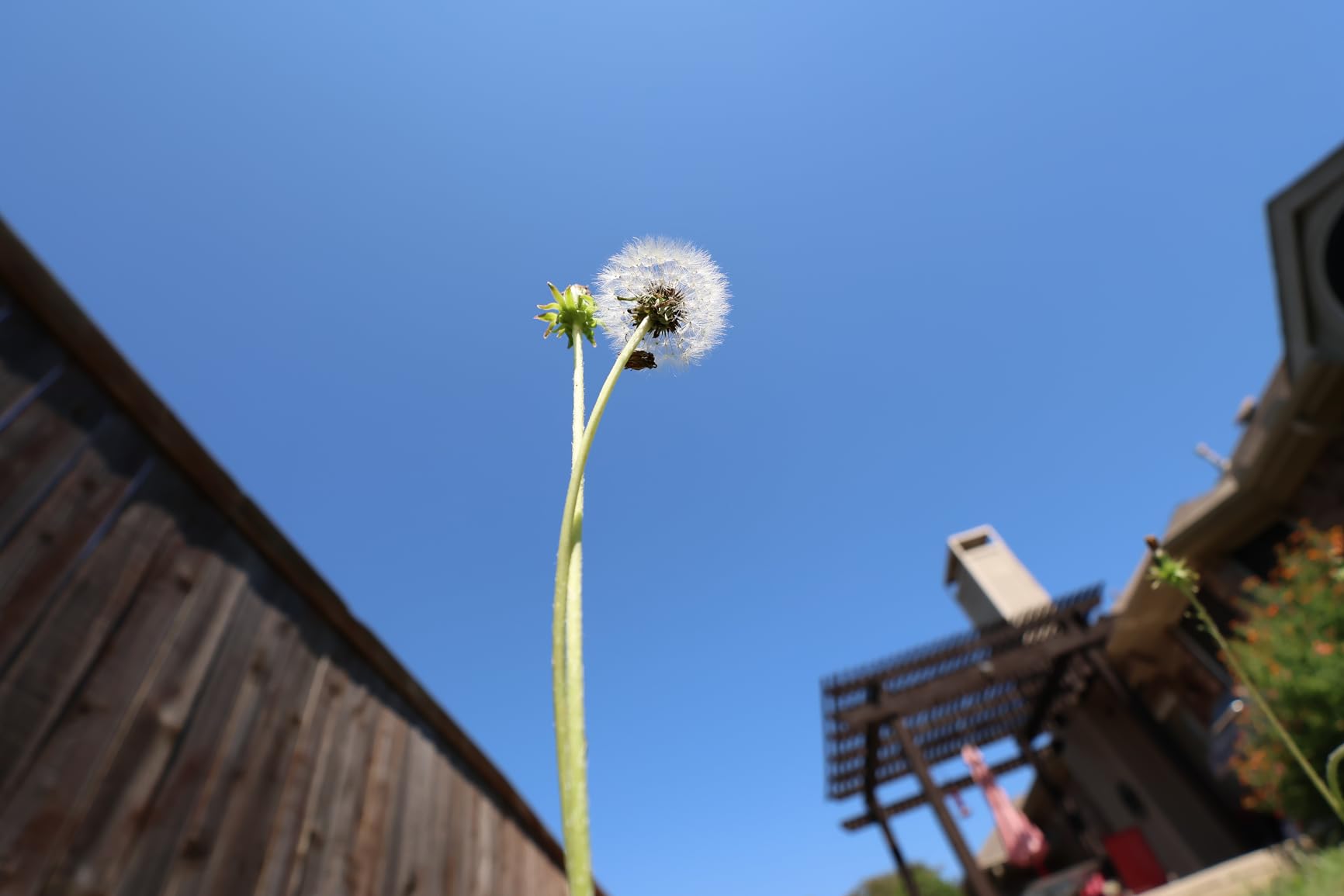 Canon RF-S10-18mm F4.5-6.3 is STM Ultra-Wide-Angle Zoom Lens, Mirrorless, 4.0 Stops of Shake Reduction, Great for Vlogging & Selfies, Compact & Lightweight, for Video, Travel, Landscapes & Interiors customer photo 1