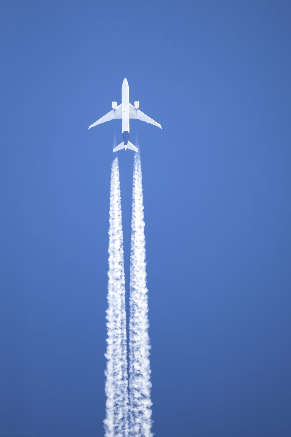 Canon RF200-800mm F6.3-9 is USM Super-telephoto Zoom Lens, Mirrorless, Powerful Zoom Range, Comfortable Handheld Shooting, for Wildlife, Nature, Outdoor Sports, Compact & Lightweight customer photo 2